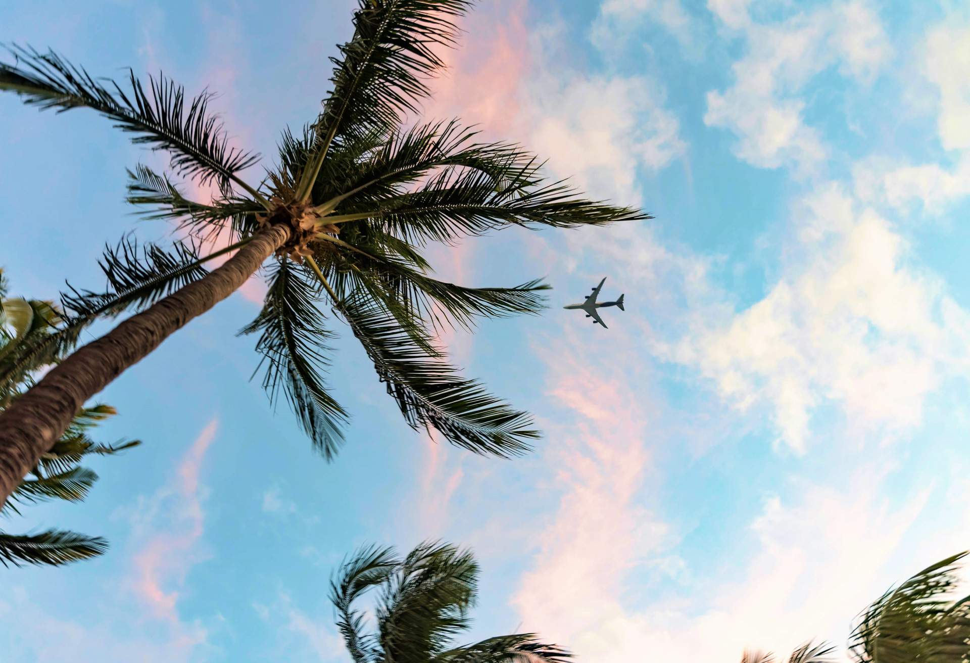 Kayak flights hot sale one way