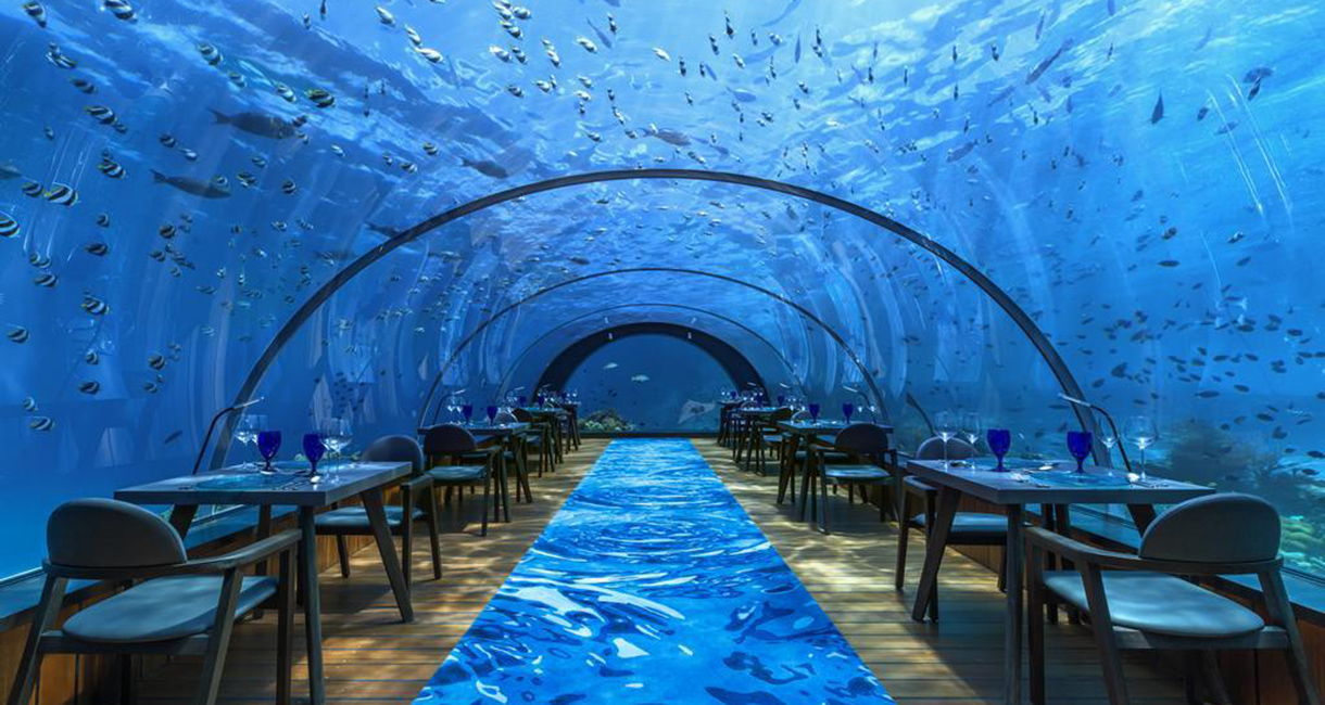 4 Alternative Atlantis For Your Underwater Travel Kayak India