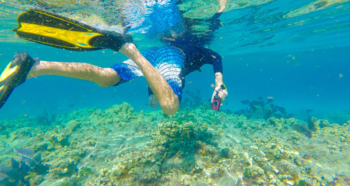 Diving in Miami