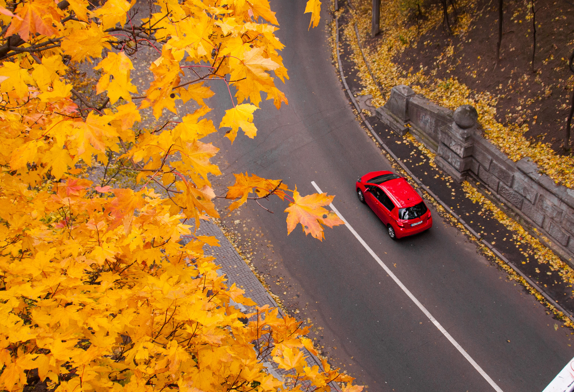 Tips for planning a fall foliage road trip – KAYAK