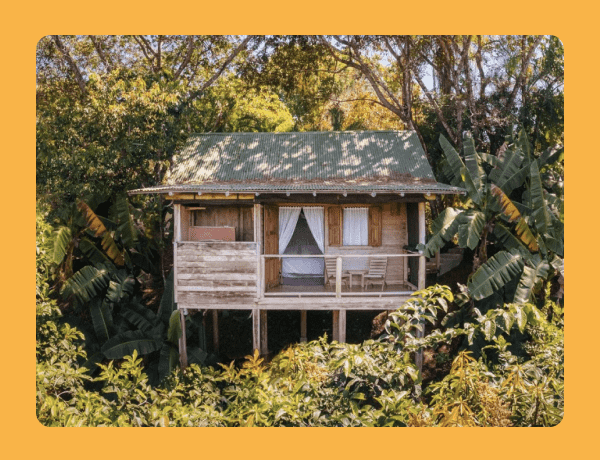 Sunlight filters through the trees onto a small, remote cabin in the woods.