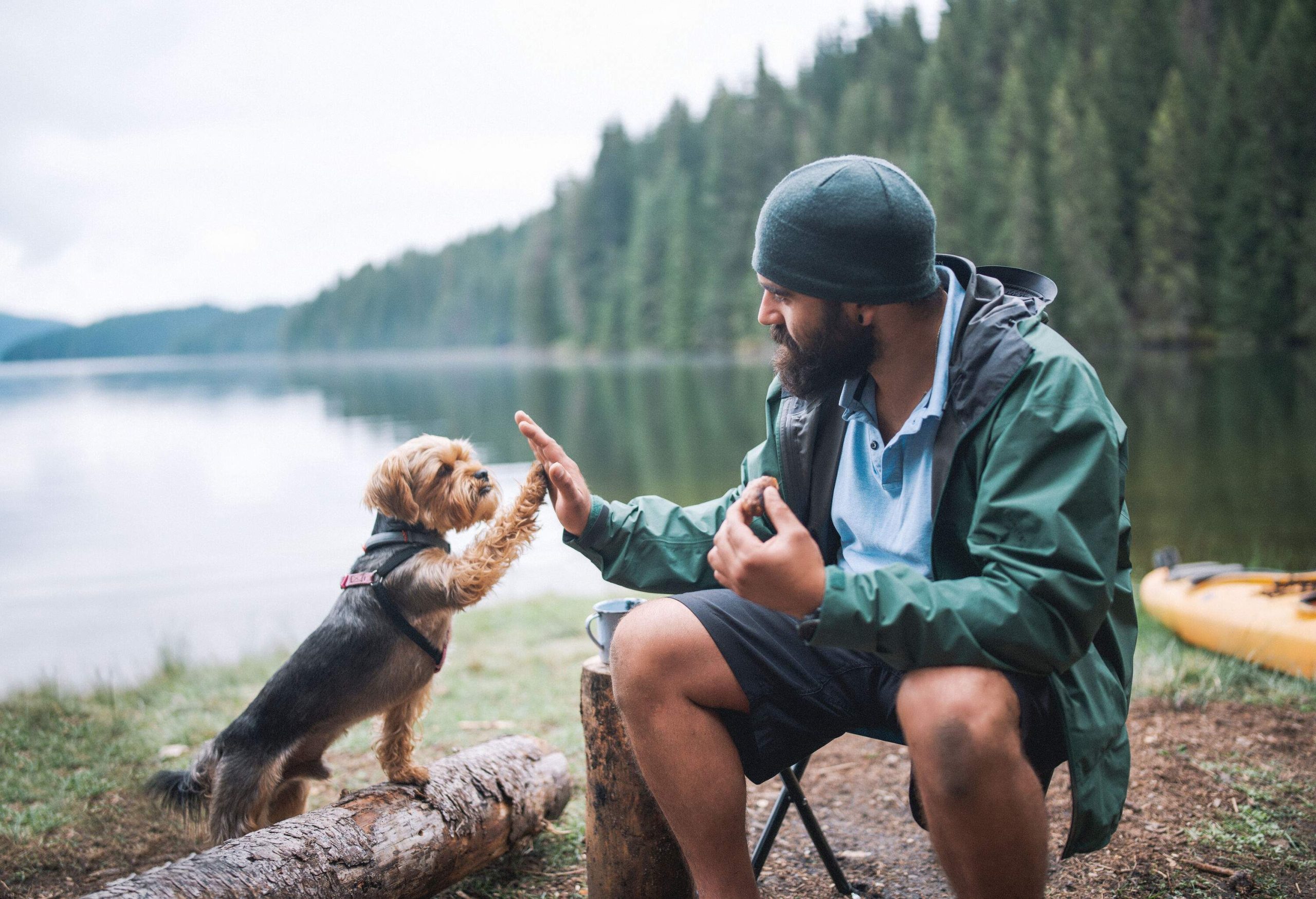 A man high-fiving his dog while seated in a chair along the shore.