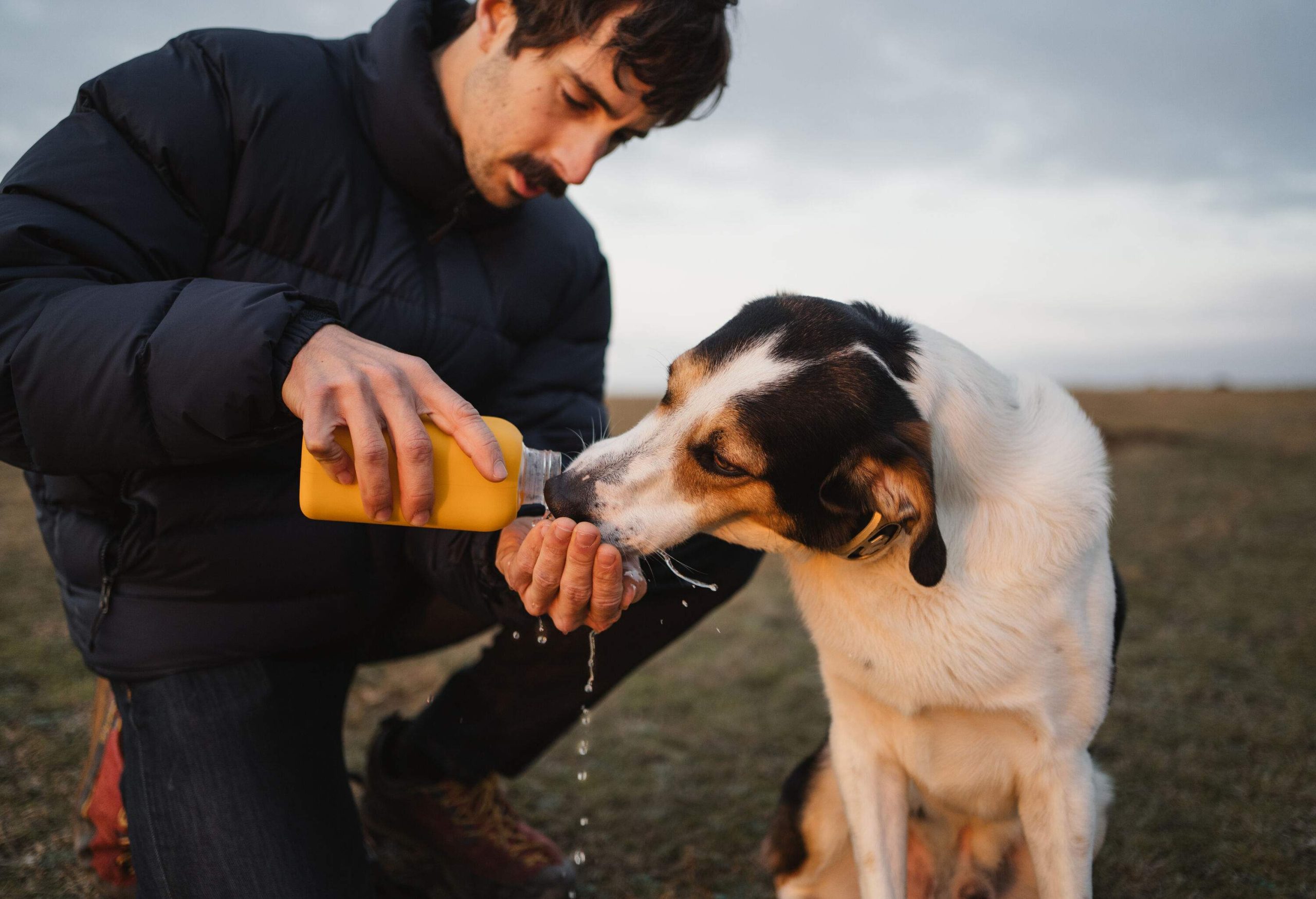 On a grassy area, a young white man took a knee down to give his dog water from a bottle.