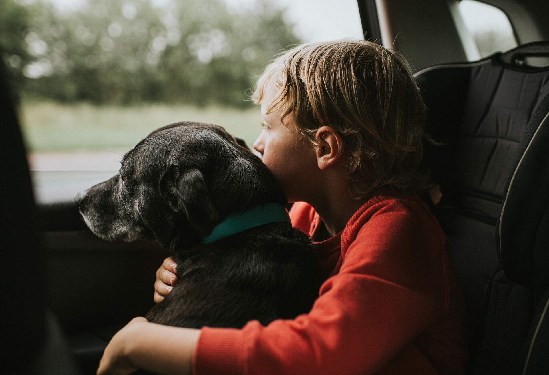 child with a dog in a car during a roadtrip