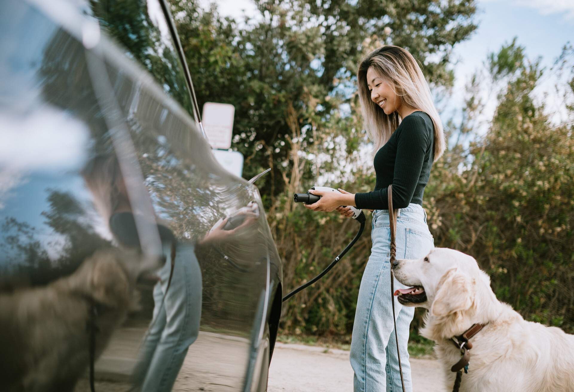 theme_people_electric_car_pet_dog_gettyimages-1216278069_universal_within-usage-period_83074