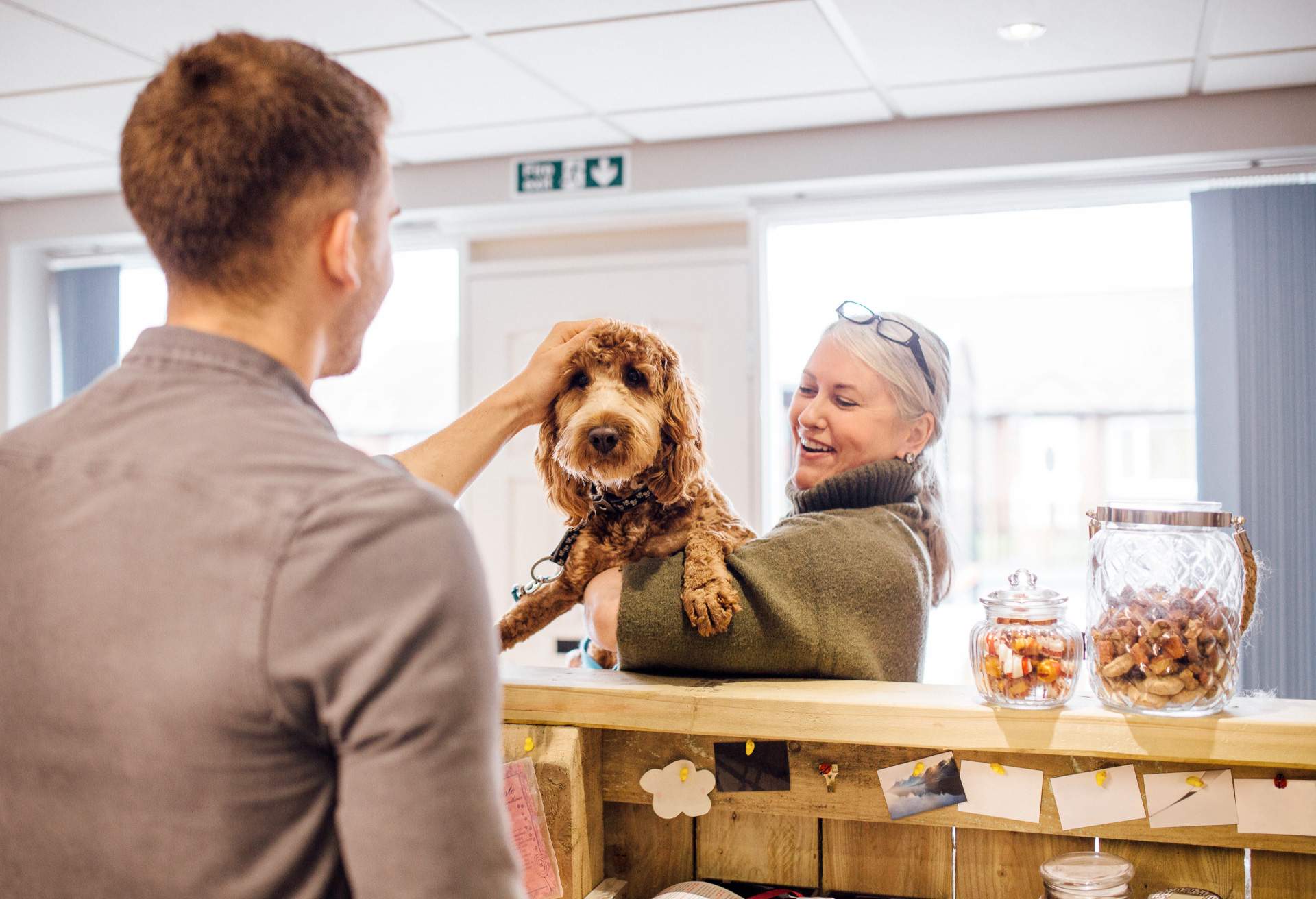 Pet stay sales