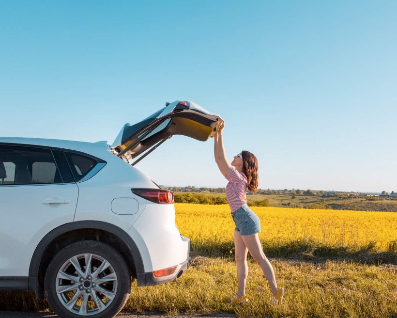 Introducing: Price Alerts for cars.