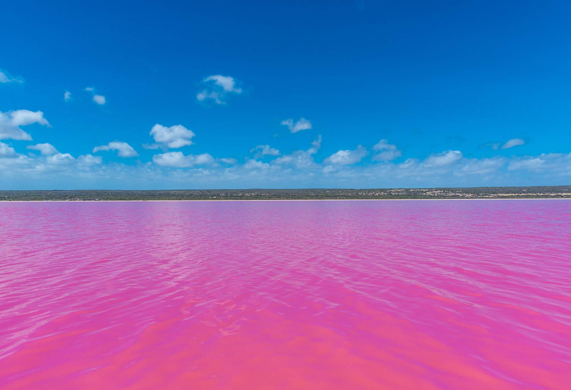 7 Pink Lakes in Australia that everyone must visit once - KAYAK