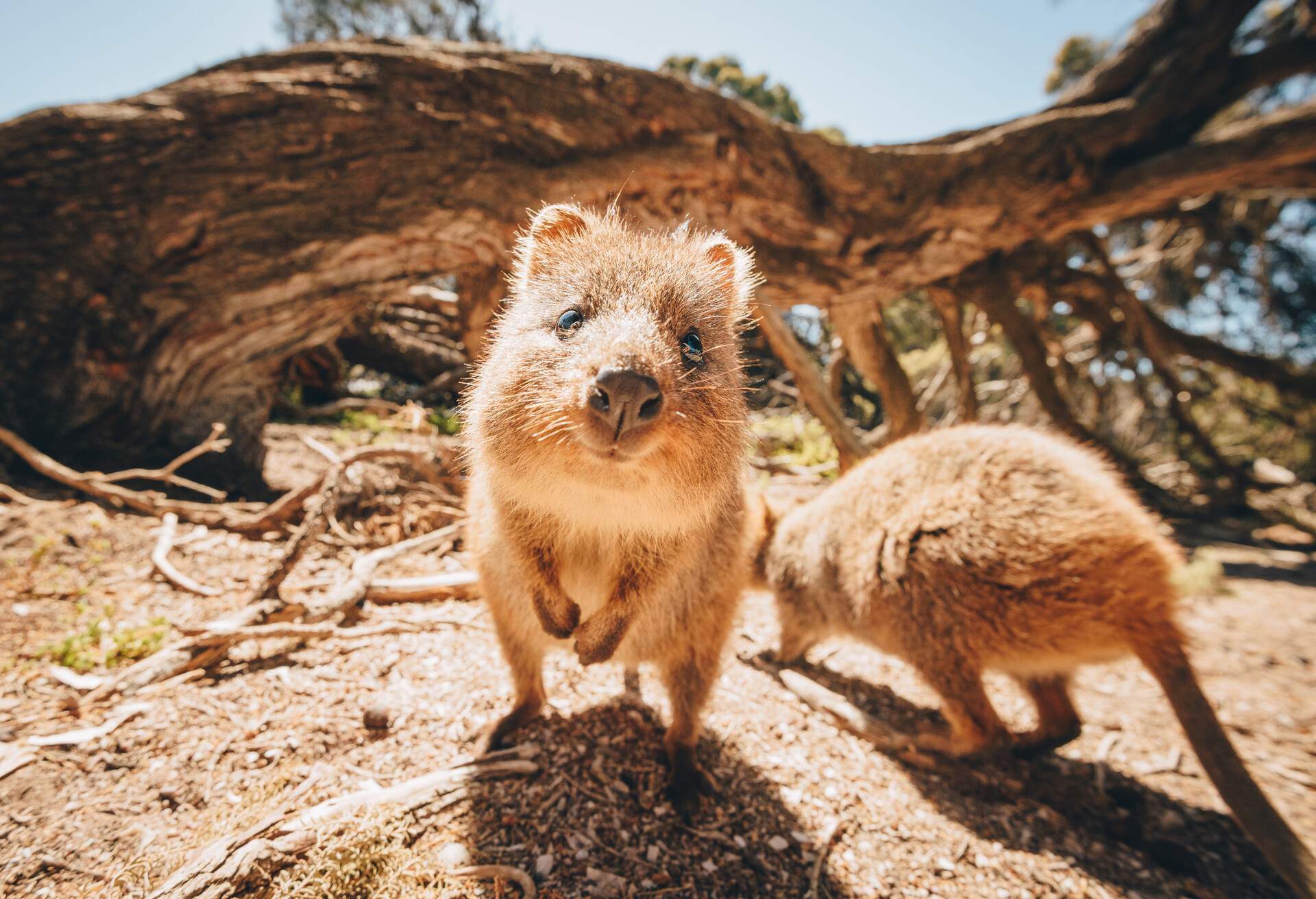 backpacking trip australia