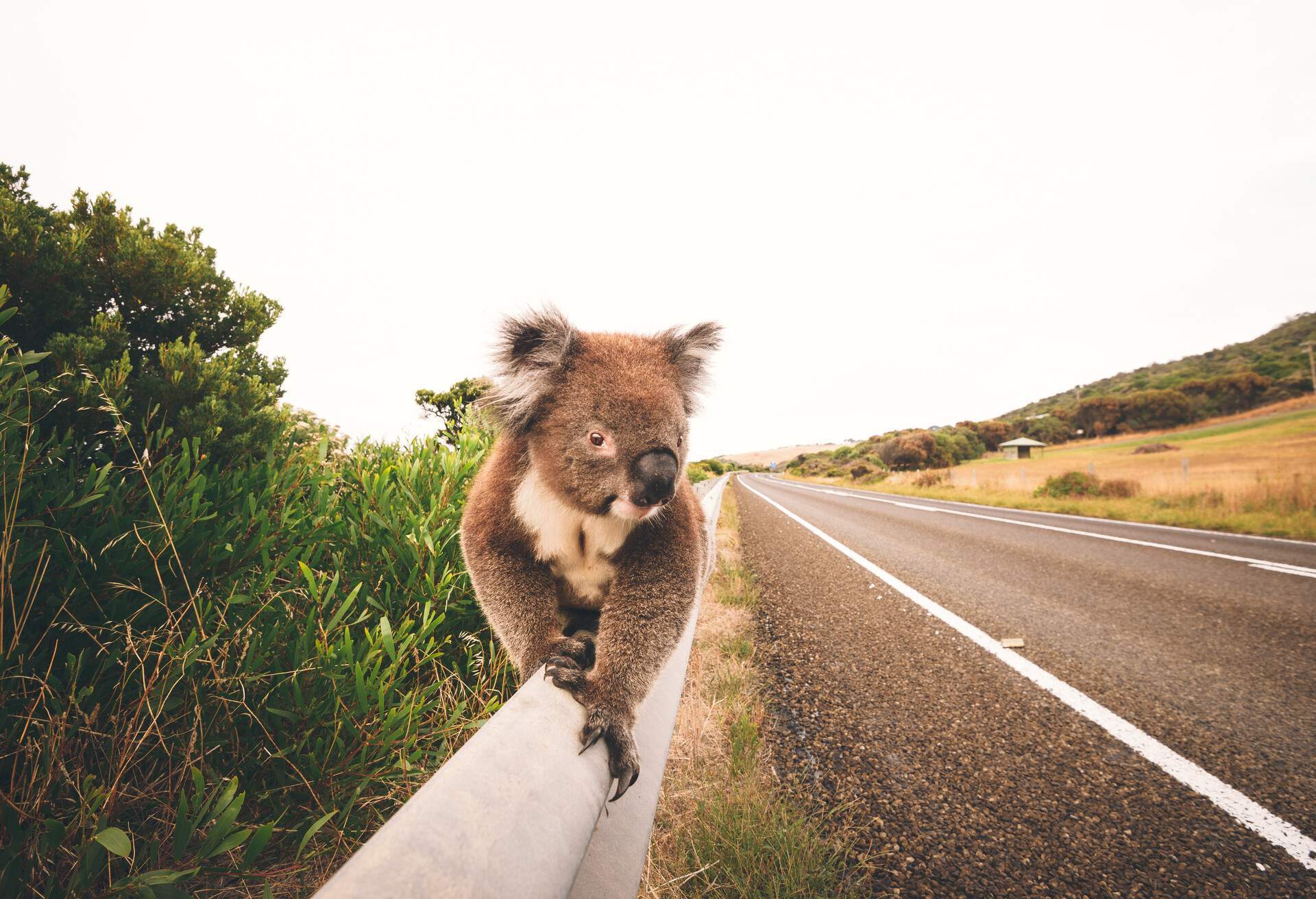 backpacking trip australia