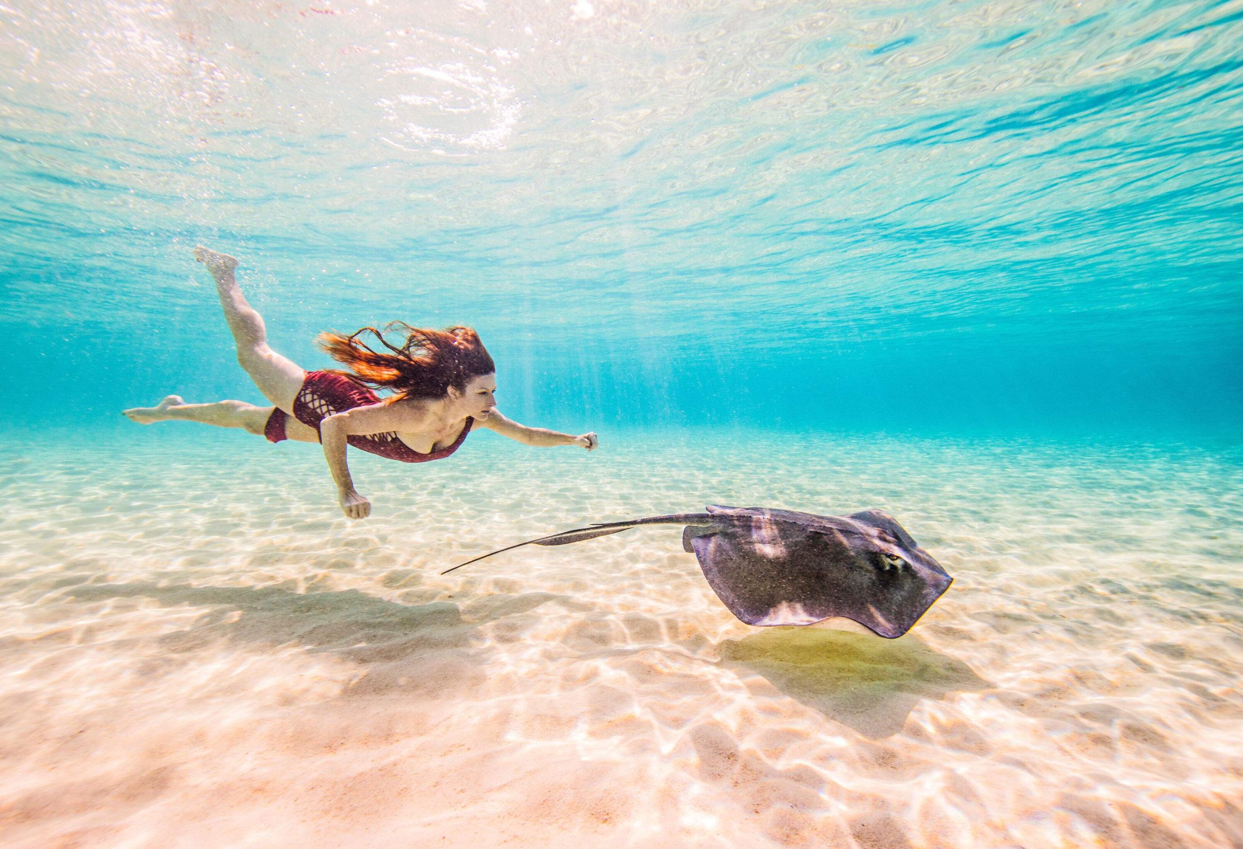 A woman swims underwater with a stingray.