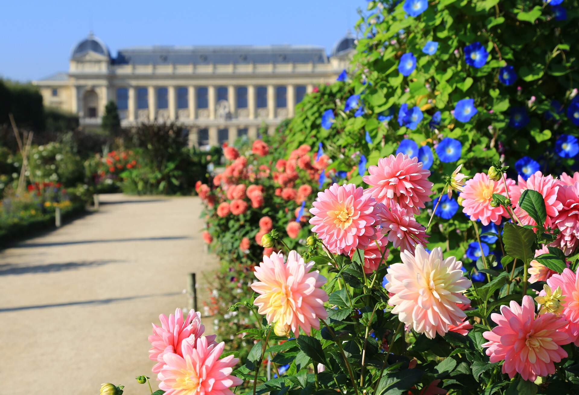 Jardin de Plantes, botanical garden in Paris, France