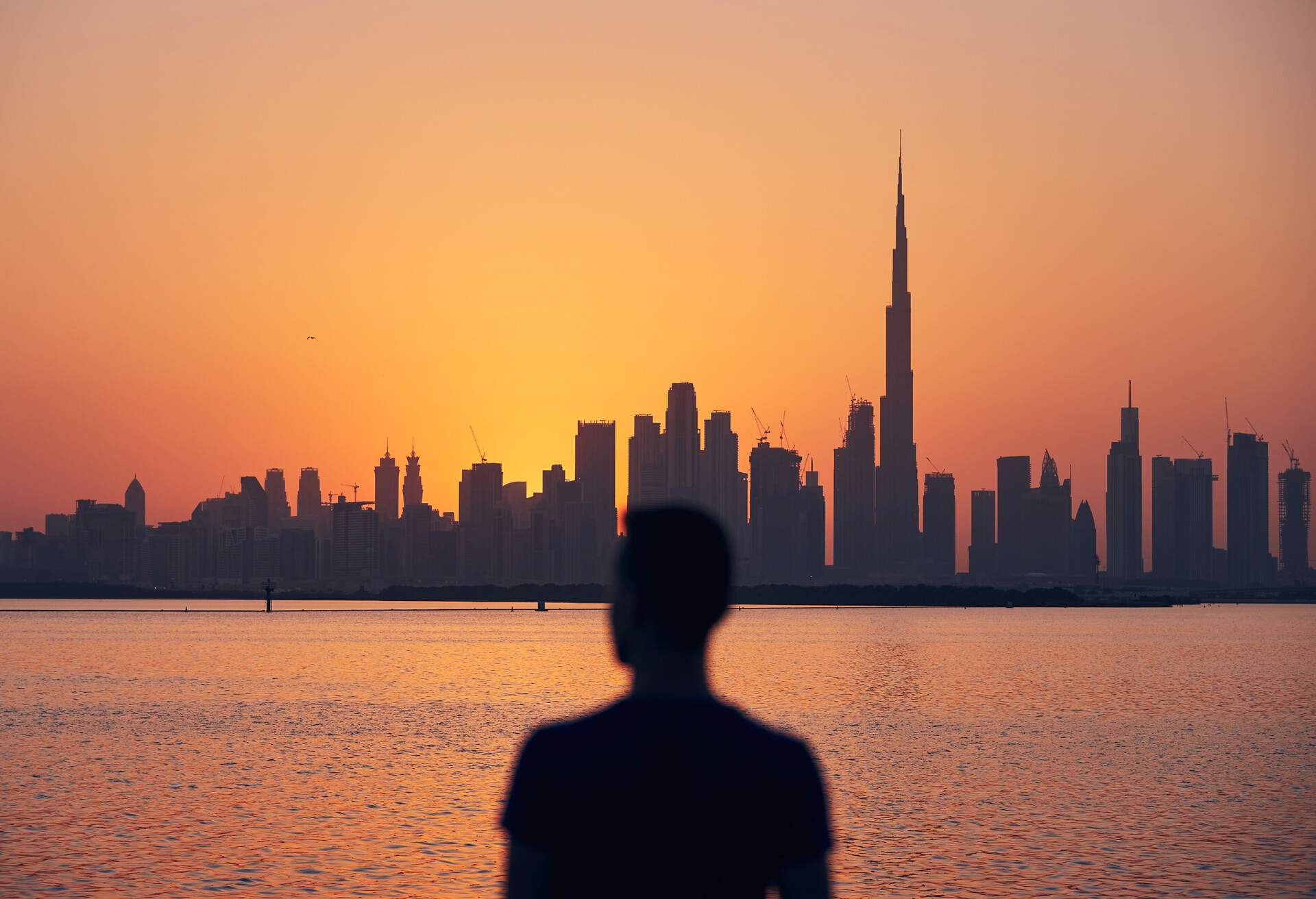 Silhouette of a person looking at the cityscape by the sea with modern skyscrapers against the scenic twilight sky.