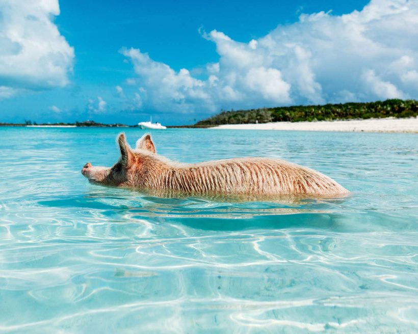 4 underwater alternatives to Atlantis (that you can actually visit