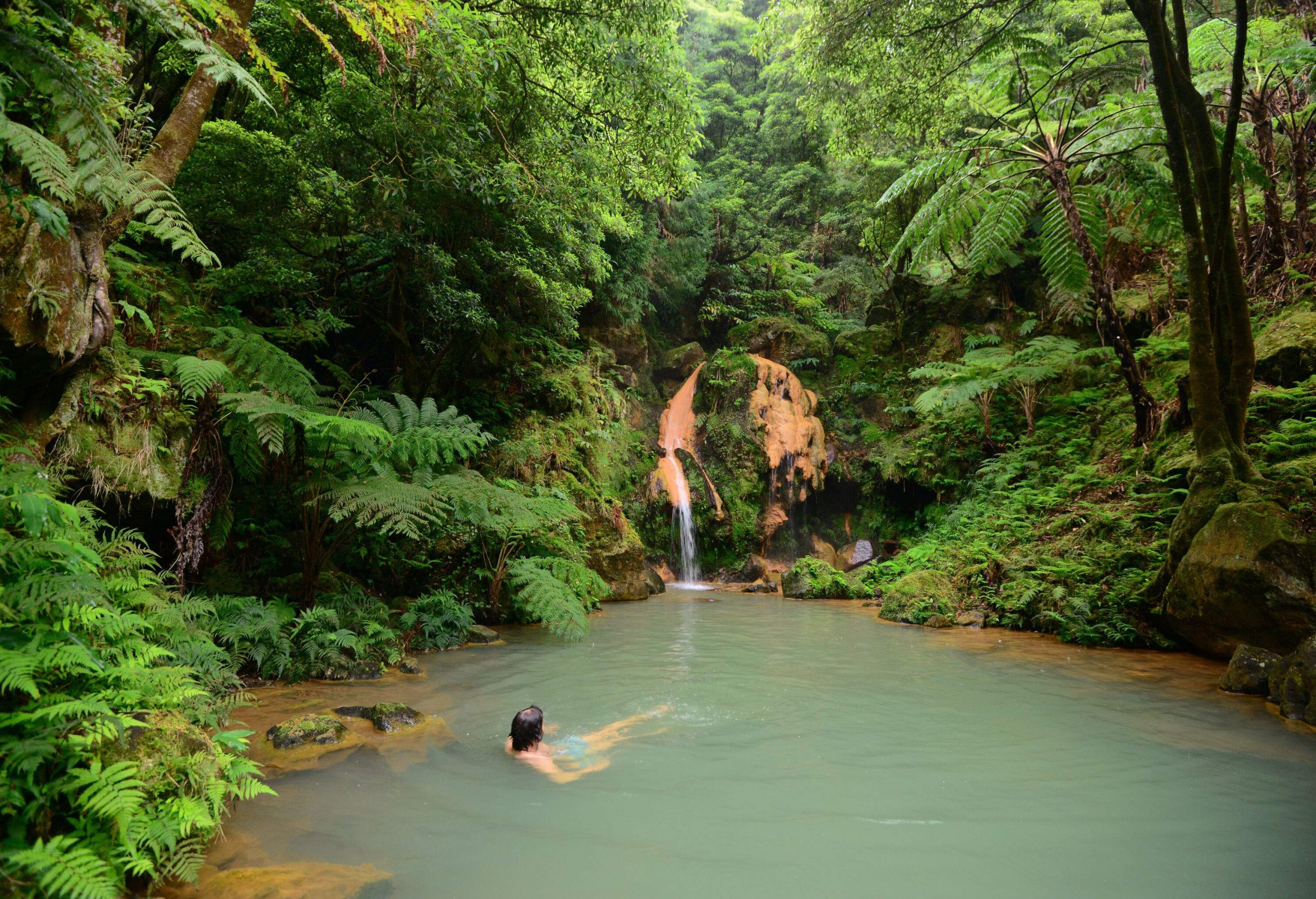 An individual swimming in a natural hot spring in the forest.