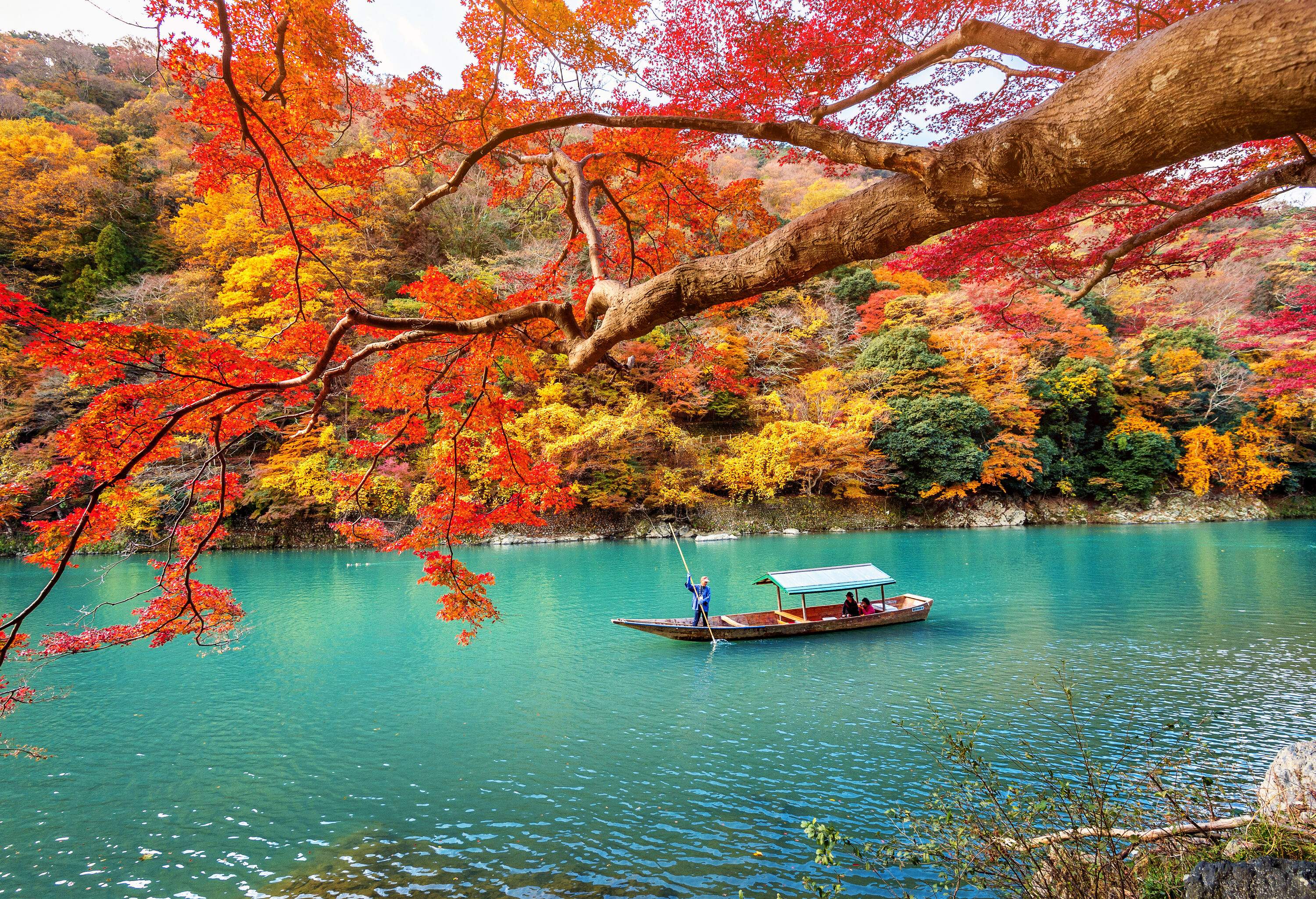 A man punting on turquoise waters with wildly coloured trees around the river.
