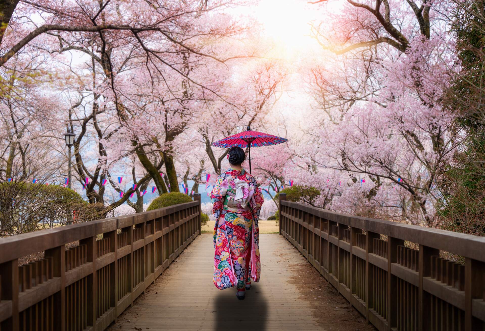 DEST_JAPAN_NAGANO_KASUGA_PARK_GettyImages-1204499278-1.jpg