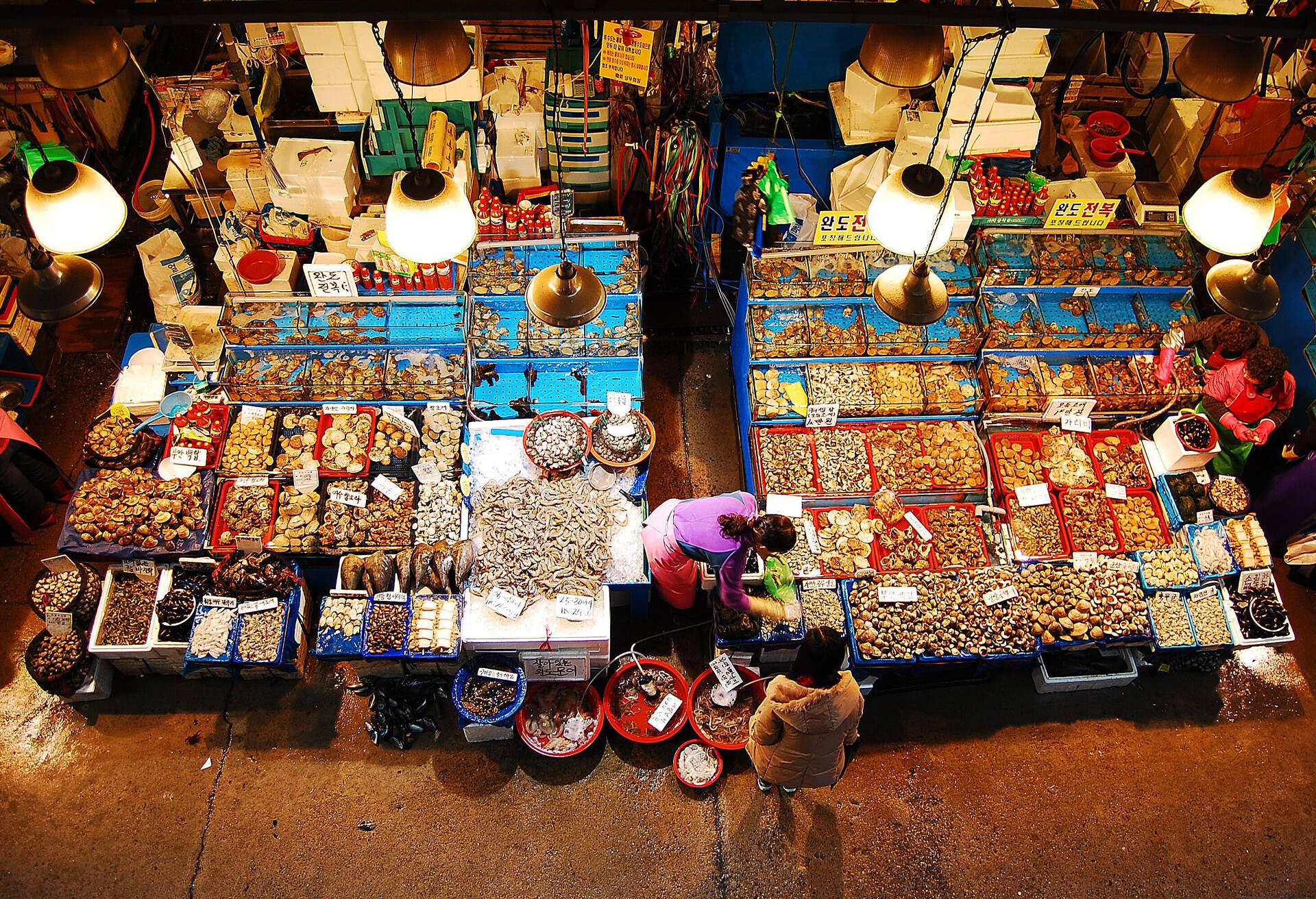 Overhead view of two stalls showcasing a variety of fresh seafood in a fish market.