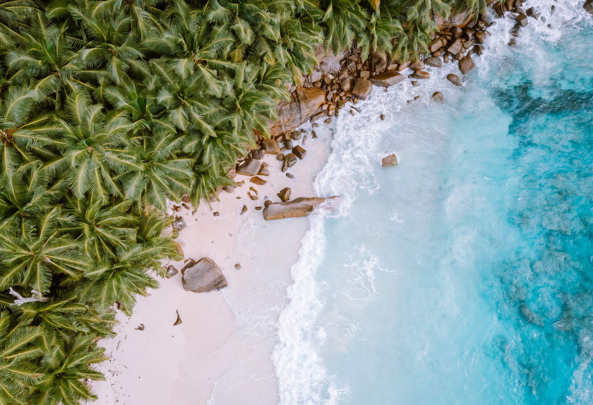 A white sand beach with turquoise waves along a grove of palm trees.