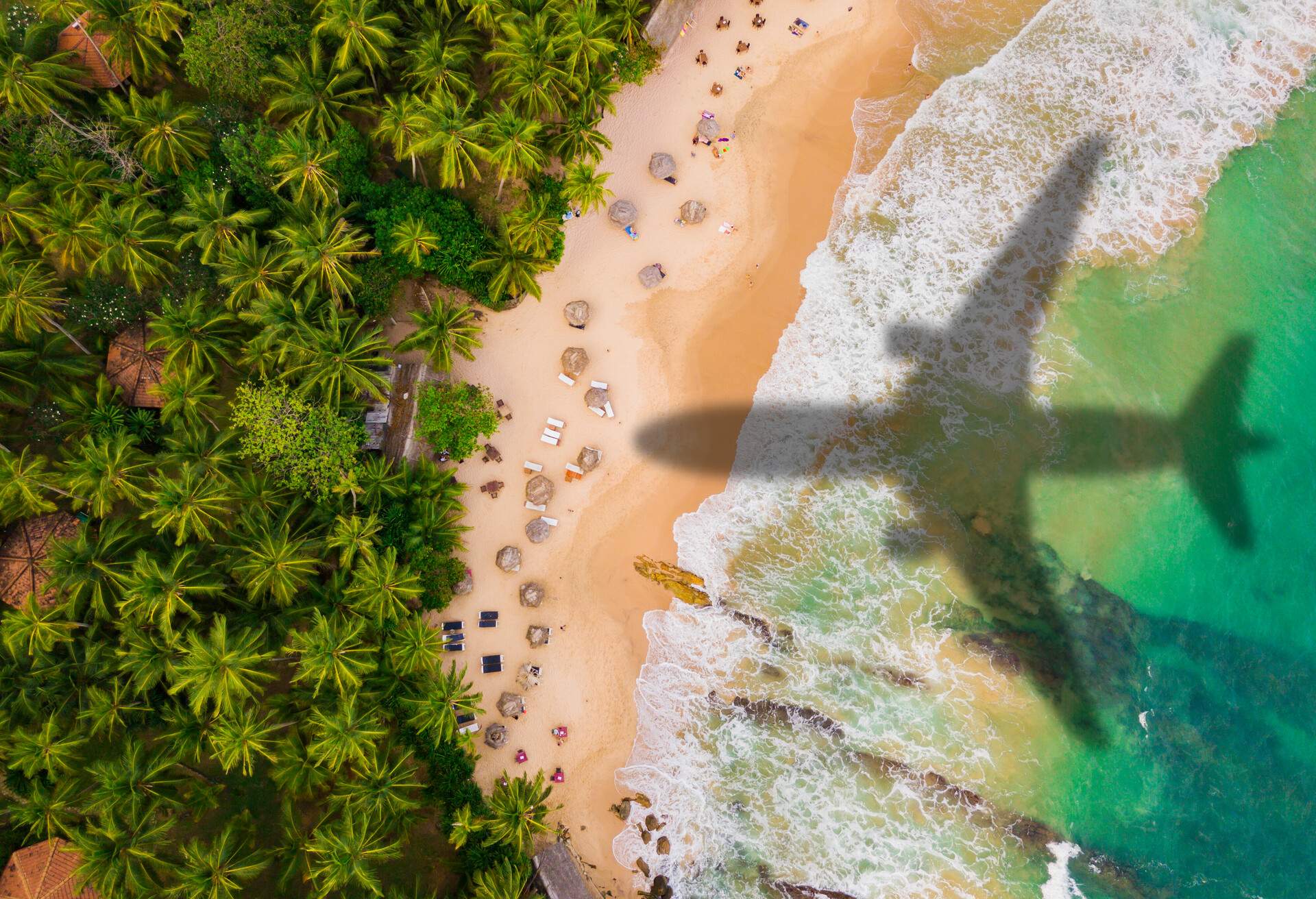 An airplane's shadow on a lush green golden beach.