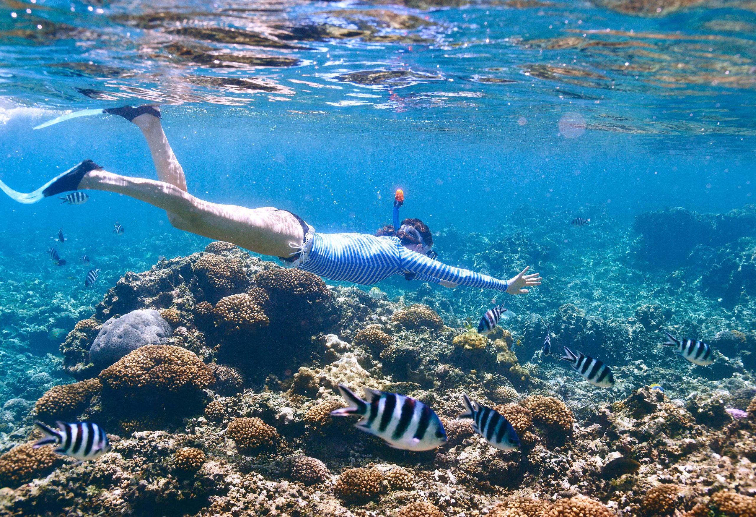 A woman snorkelling in clear water surrounded by fish close to a coral-rich seabed.
