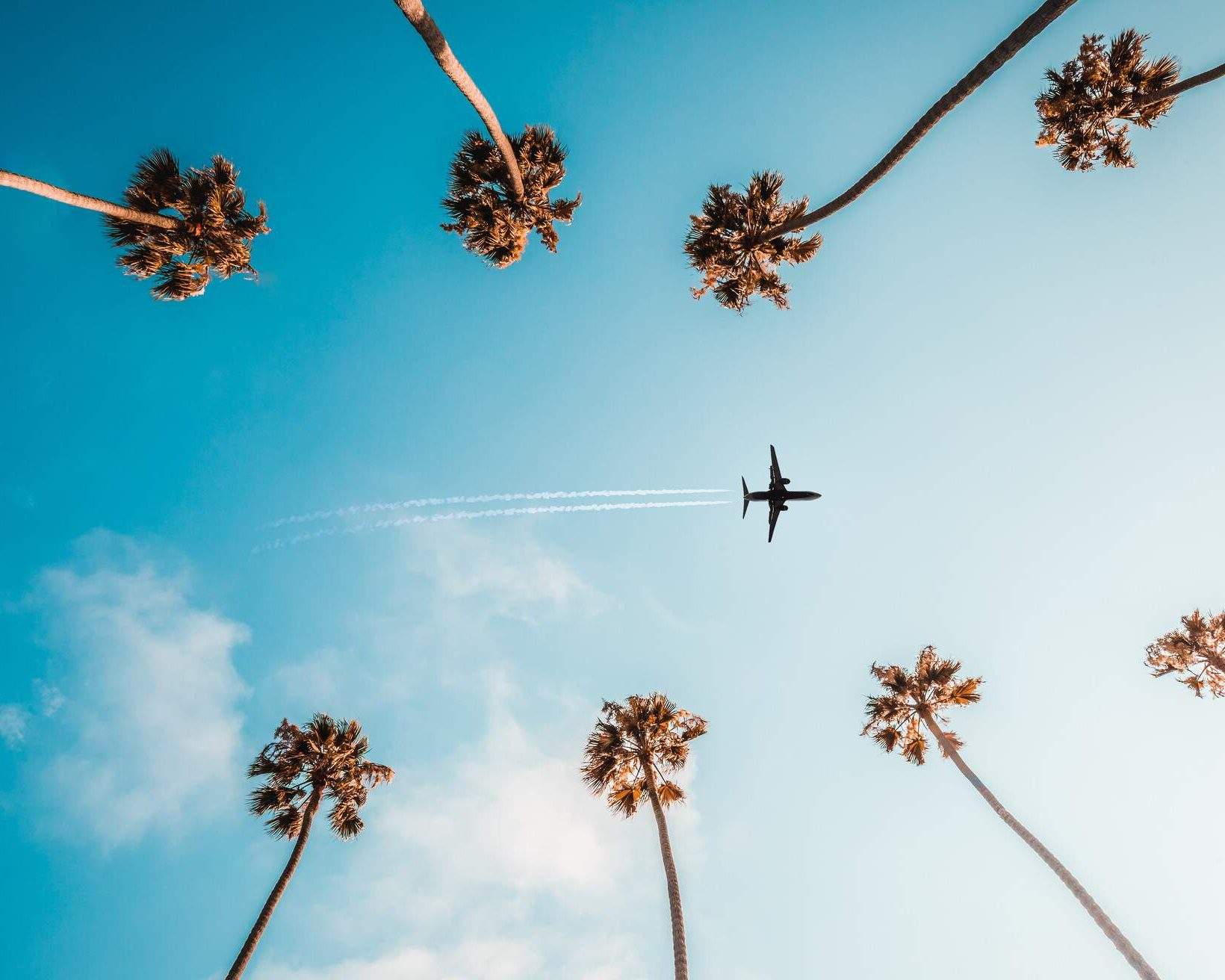 Discover which days to fly KAYAK