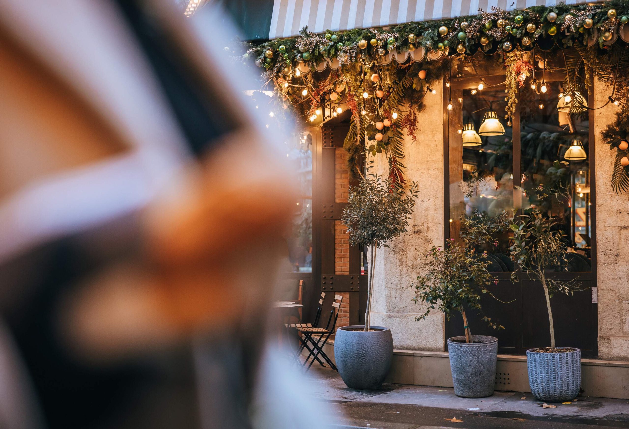 The restaurant window was decked out for the holidays with lights and plantings on either side.