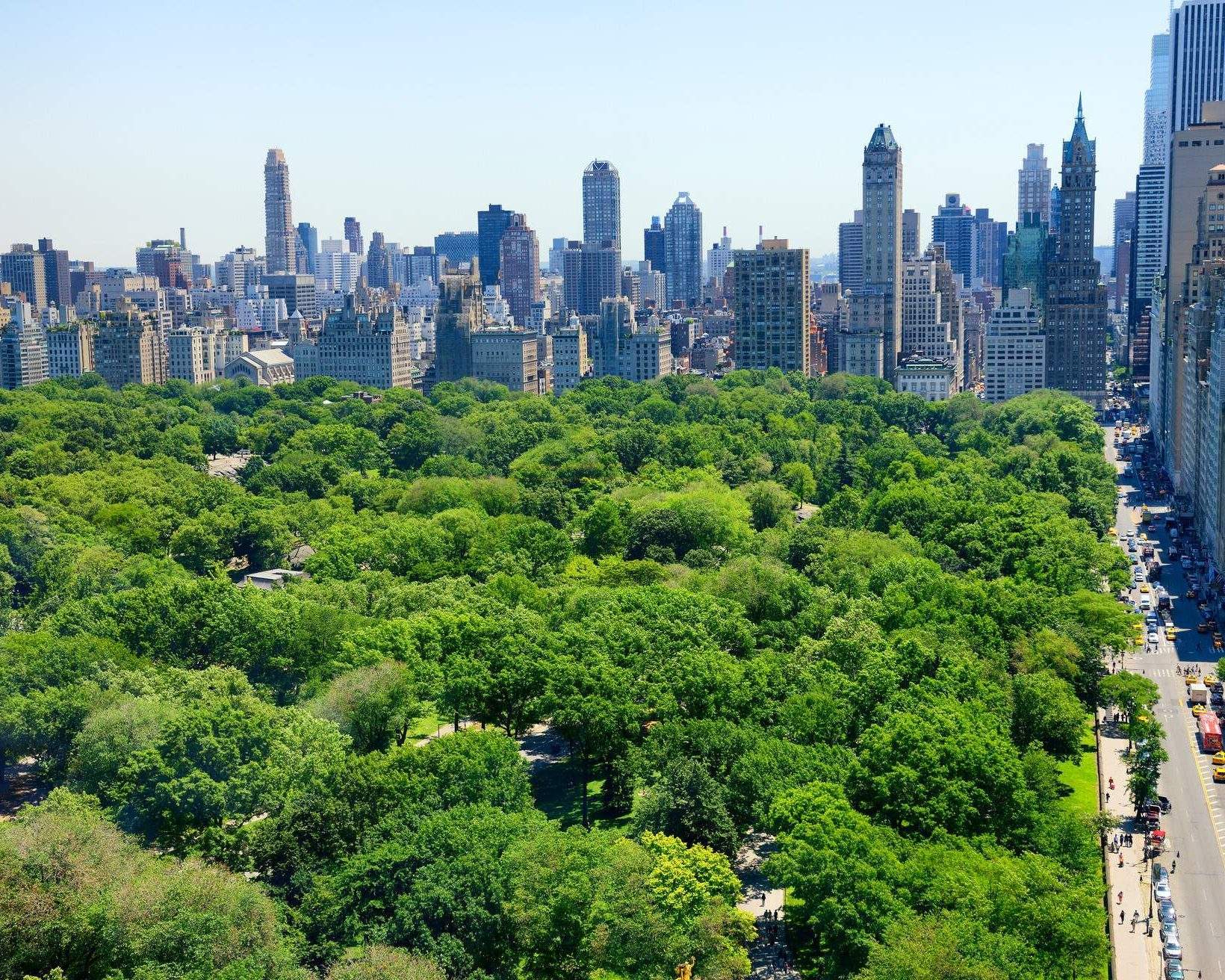 The 8 best museums in New York - KAYAK