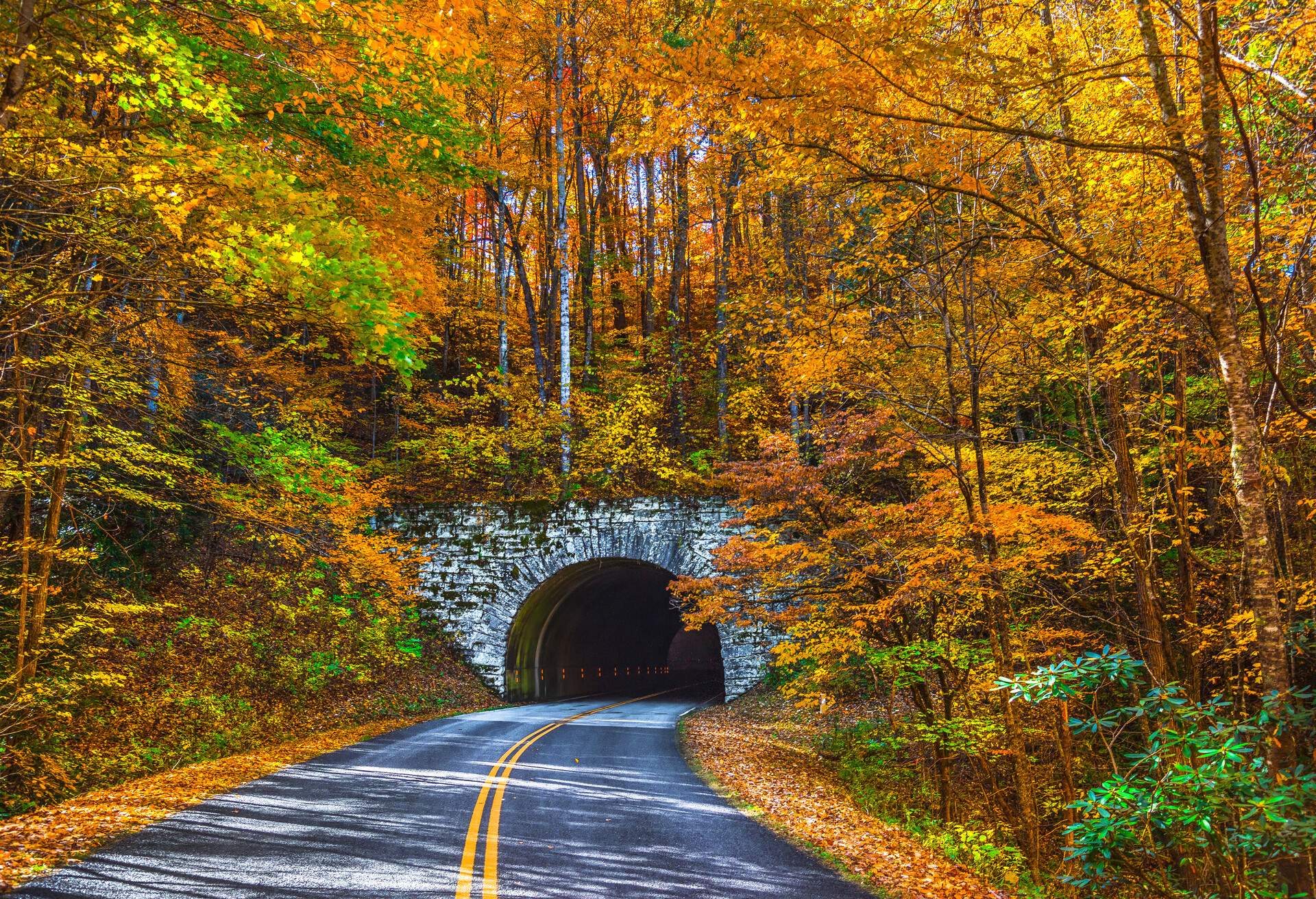 Road leading to a stone tunnel entrance surrounded by trees in bright yellow, orange, and red colours.