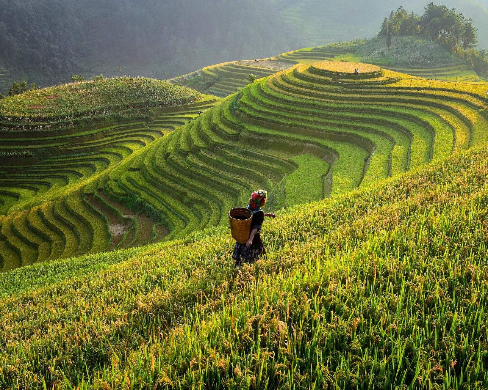 The 17 best places to visit in Vietnam - KAYAK