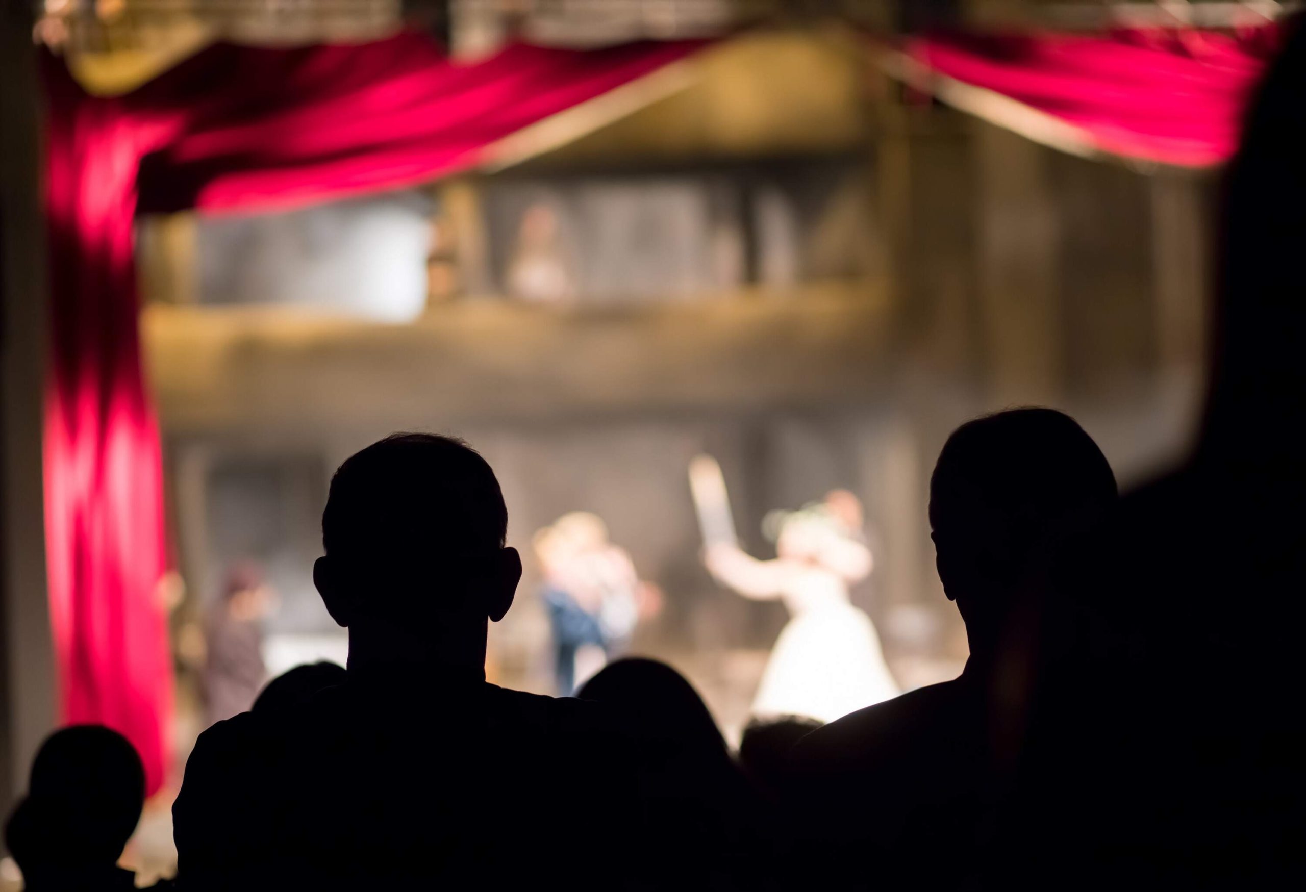The silhouette of people is visible as they eagerly watch a performance on stage.