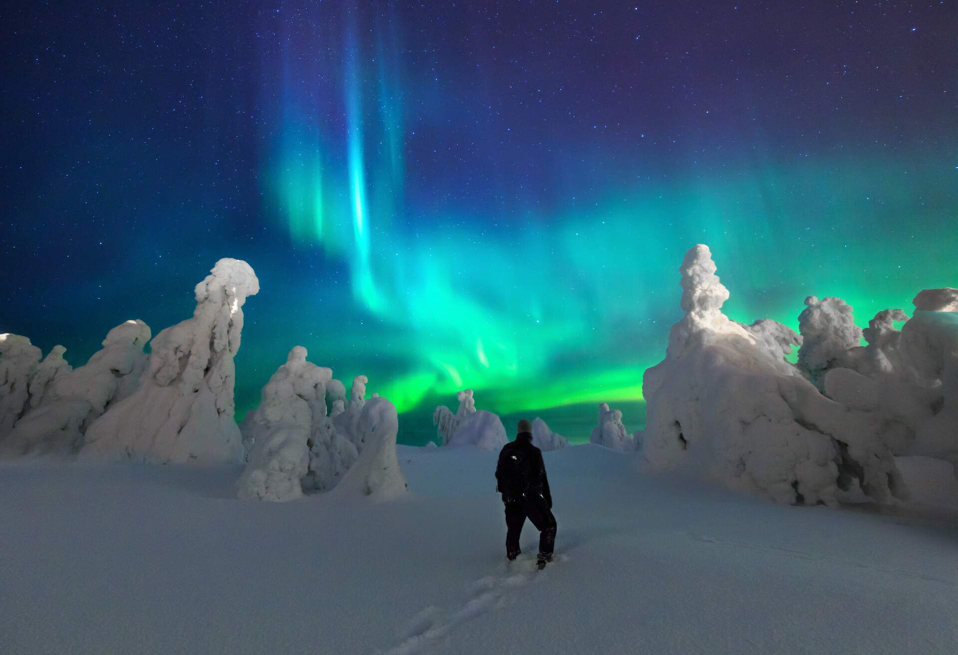 Where to see the Northern Lights in 2024 - KAYAK