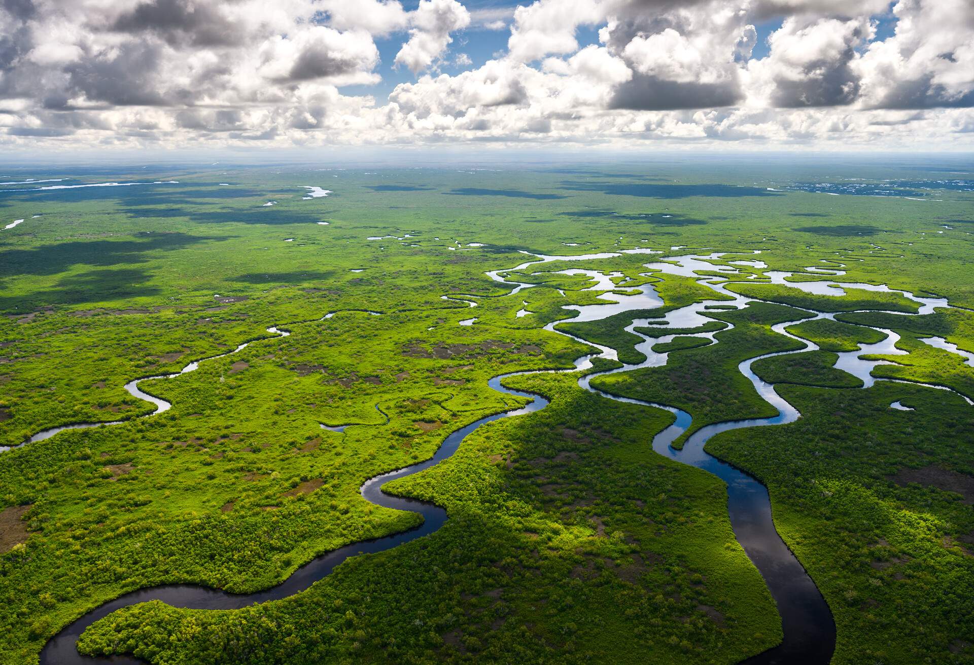 Aerial view over grasslands of Everglades National Park, Florida, USA