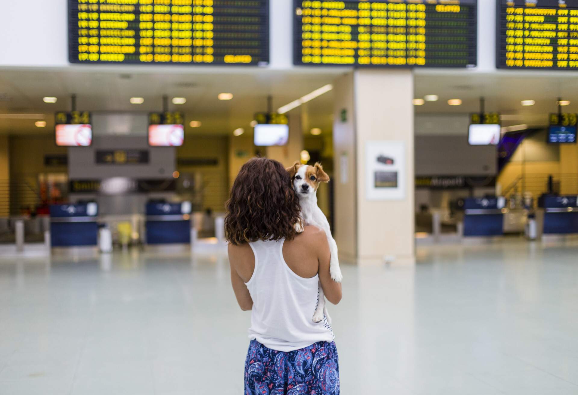 theme_animal_dog_people_woman_airport_gettyimages-1225834345_universal_within-usage-period_87865