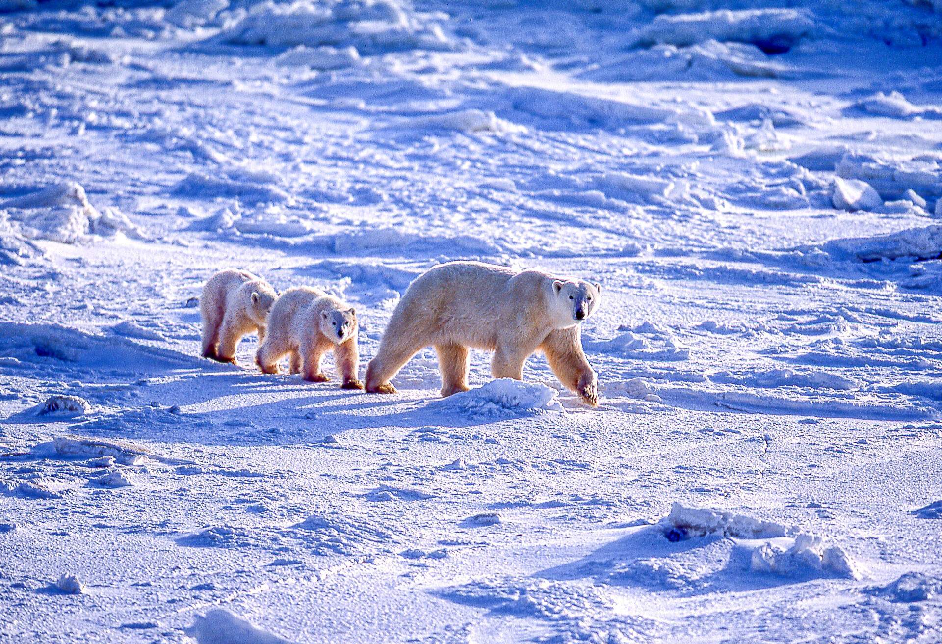 warm places to visit in canada during winter