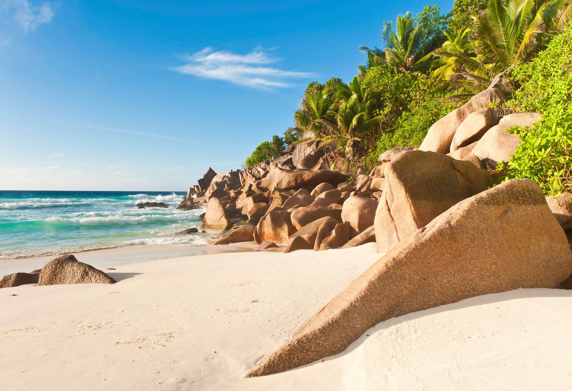 The warm summer sun illuminates the gentle waves and deserted sandy beach, with palm trees and granite rocks scattered along the shore.