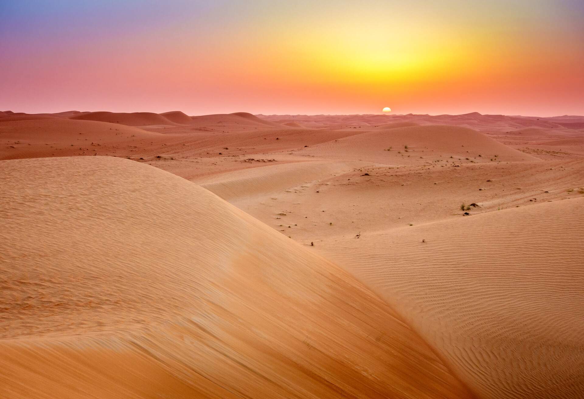 Beautiful sand dunes in a desert with views of sunrise on the horizon.