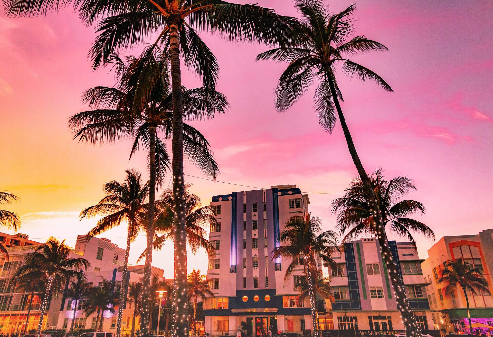 A row of mid-rise commercial buildings along a grove of palm trees wrapped in string lights under a pink sky.