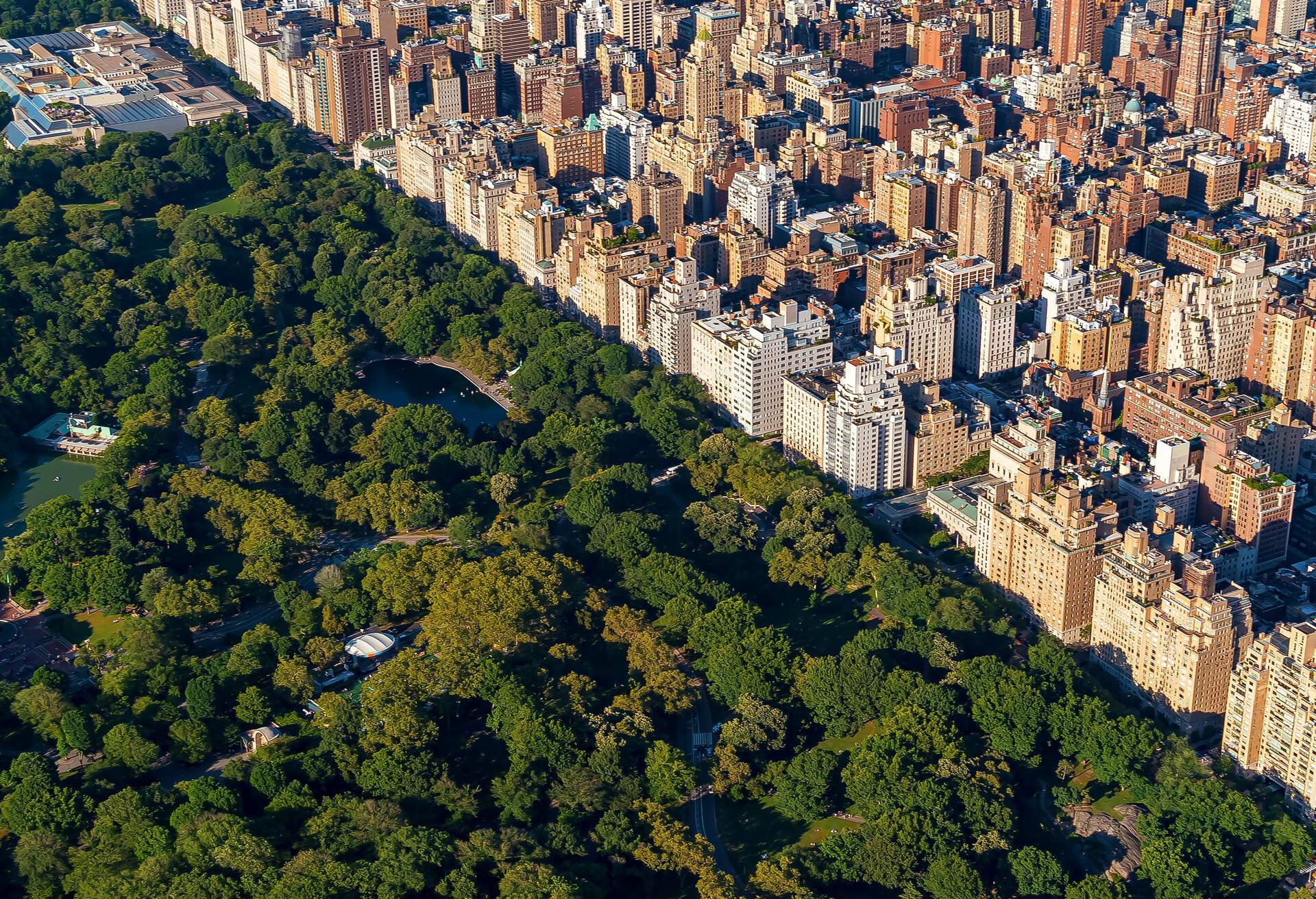 A park covered in dense forest along a cluster of city buildings.