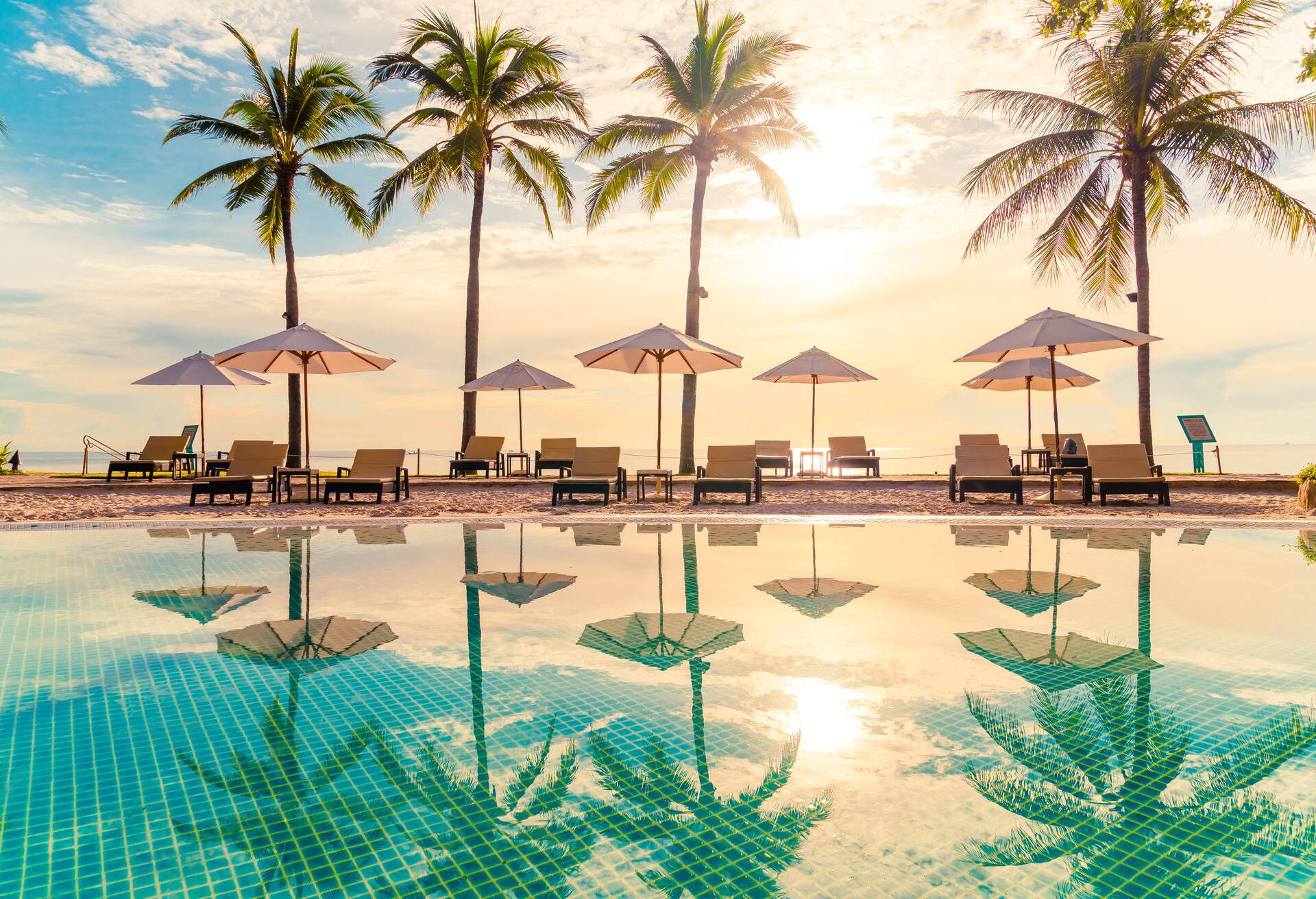 A swimming pool reflects the poolside umbrellas, palm trees, and the scorching sun.