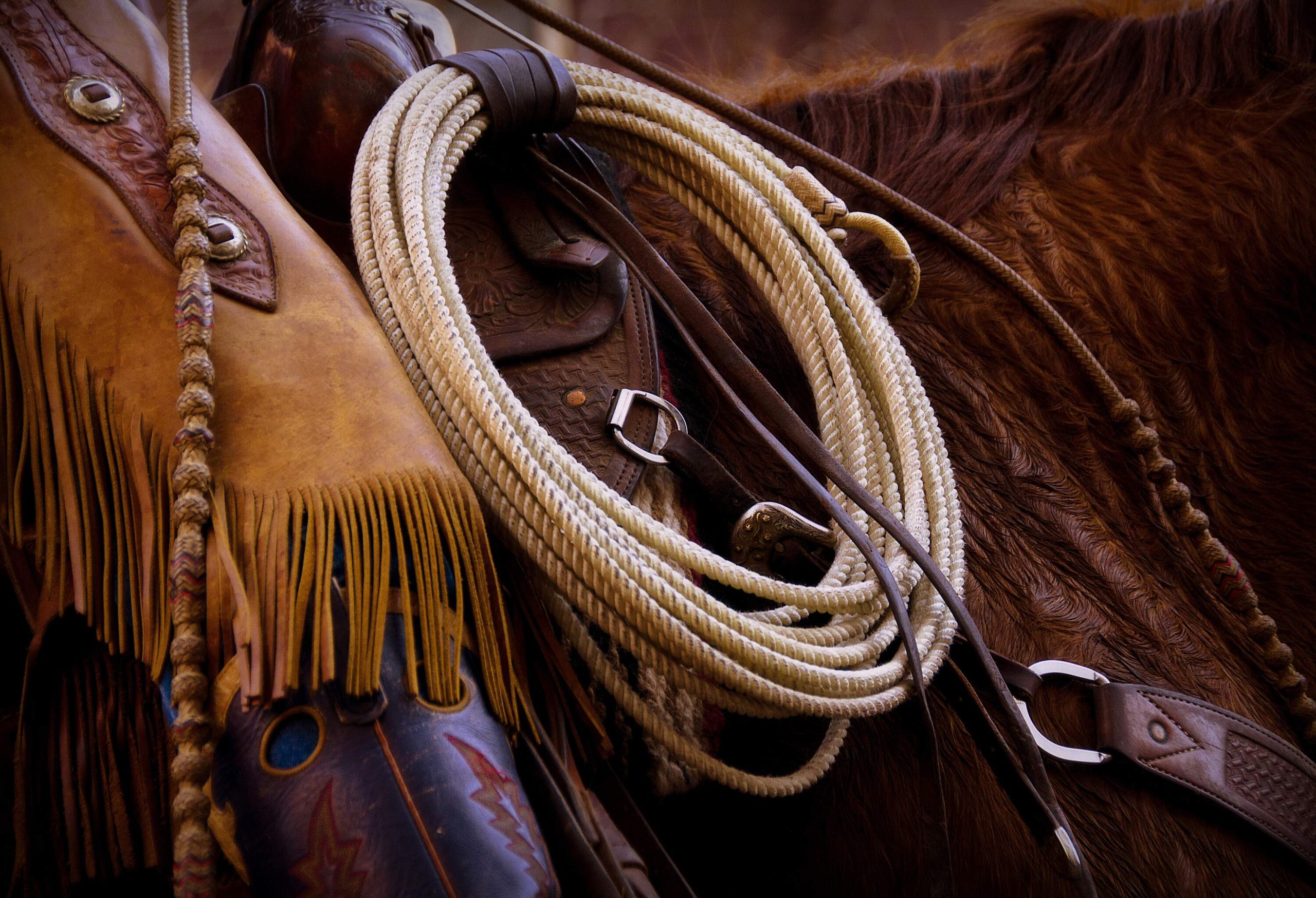 A coil of rope tied to a horse saddle.
