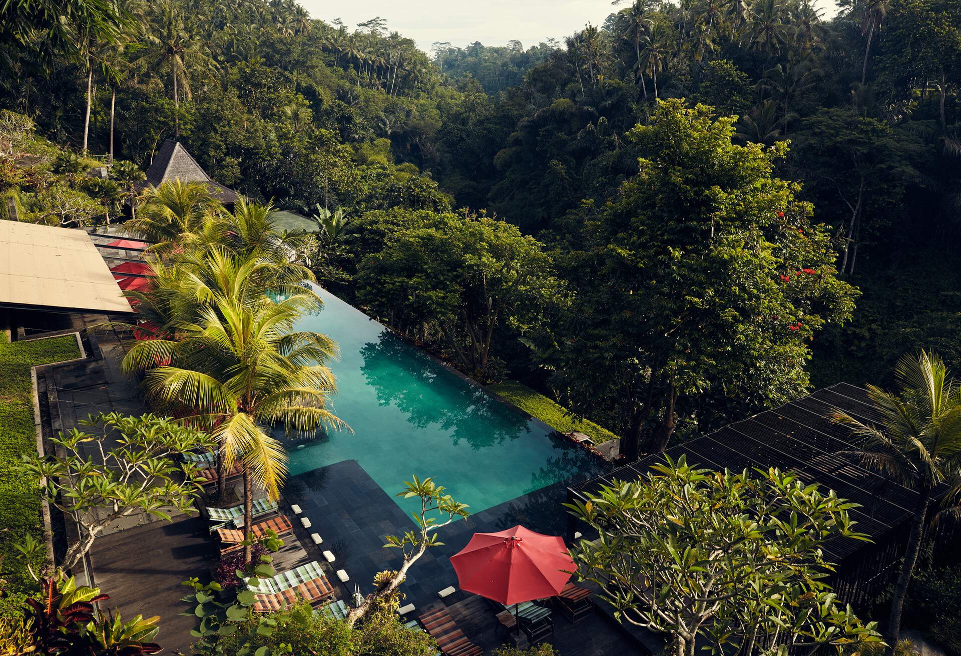 A luxury resort with a pool surrounded by lush forests.