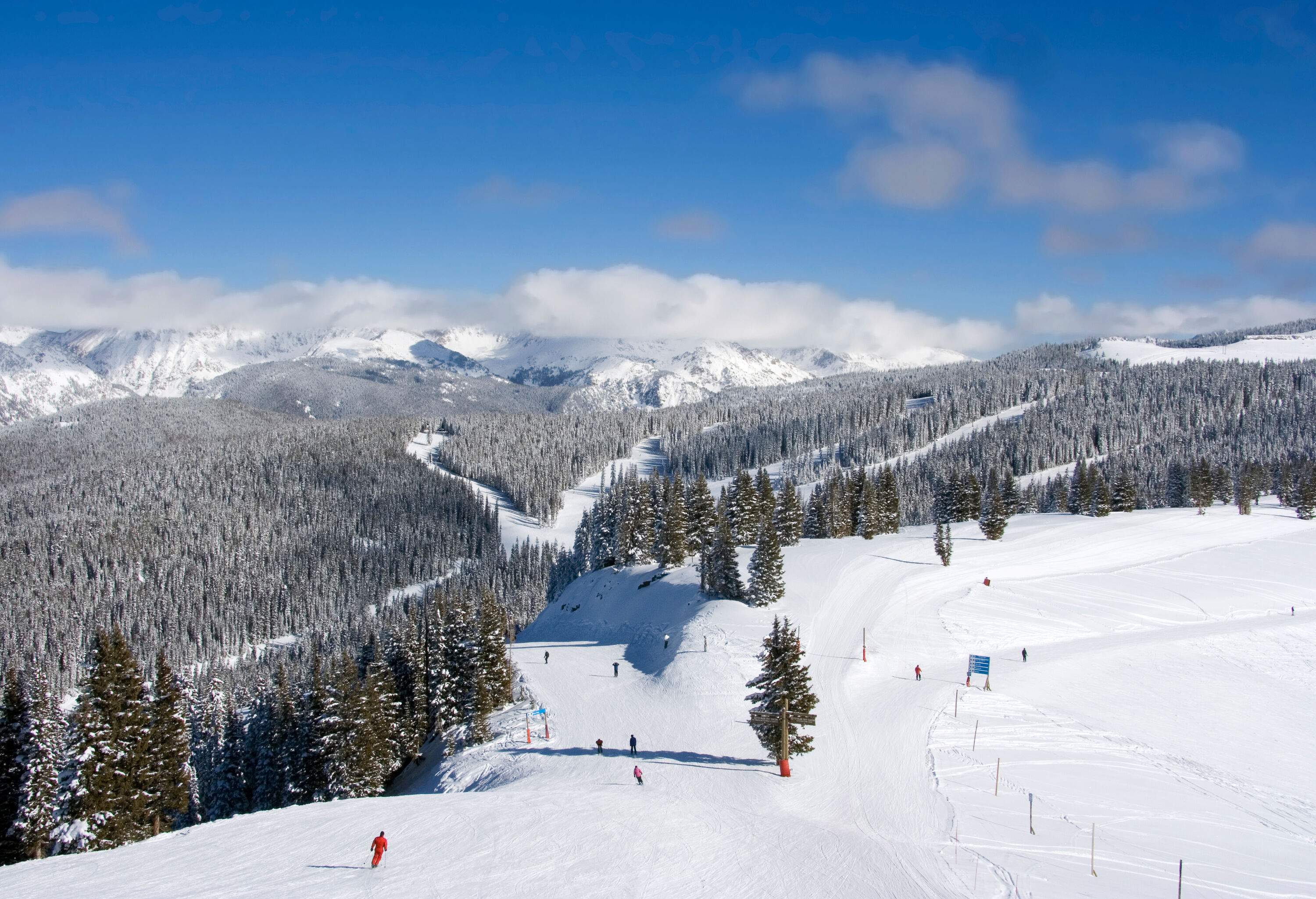 Skiers on the powder snow ski terrain lined with tall frosted pine trees in the mountains covered in deep snow.
