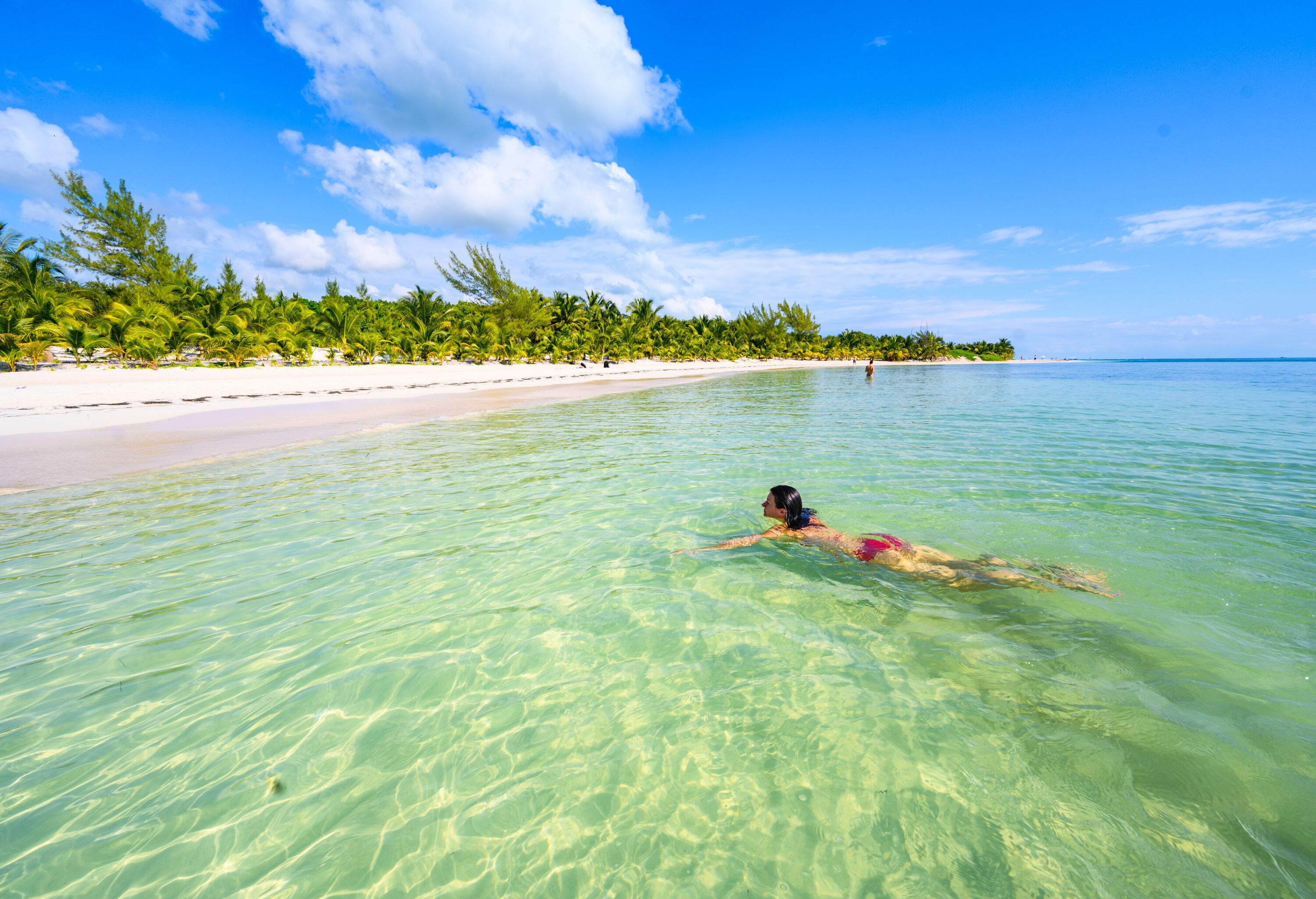 A person wearing a bikini swims in clear water with a beautiful beach and lush green shoreline visible in the background.