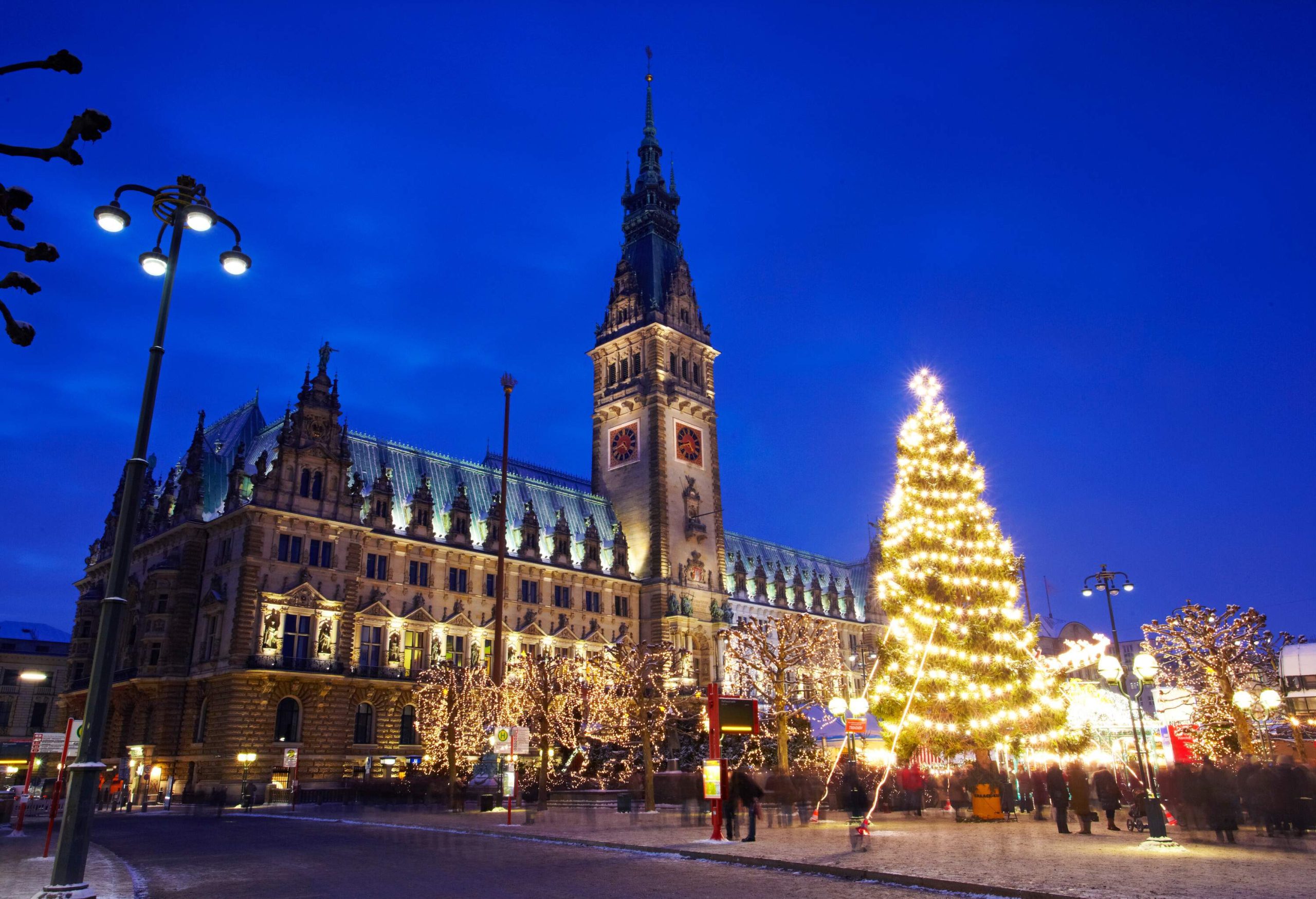 The neo-Gothic New Town Hall building in Munich, Germany and a gigantic lit Christmas tree in front.