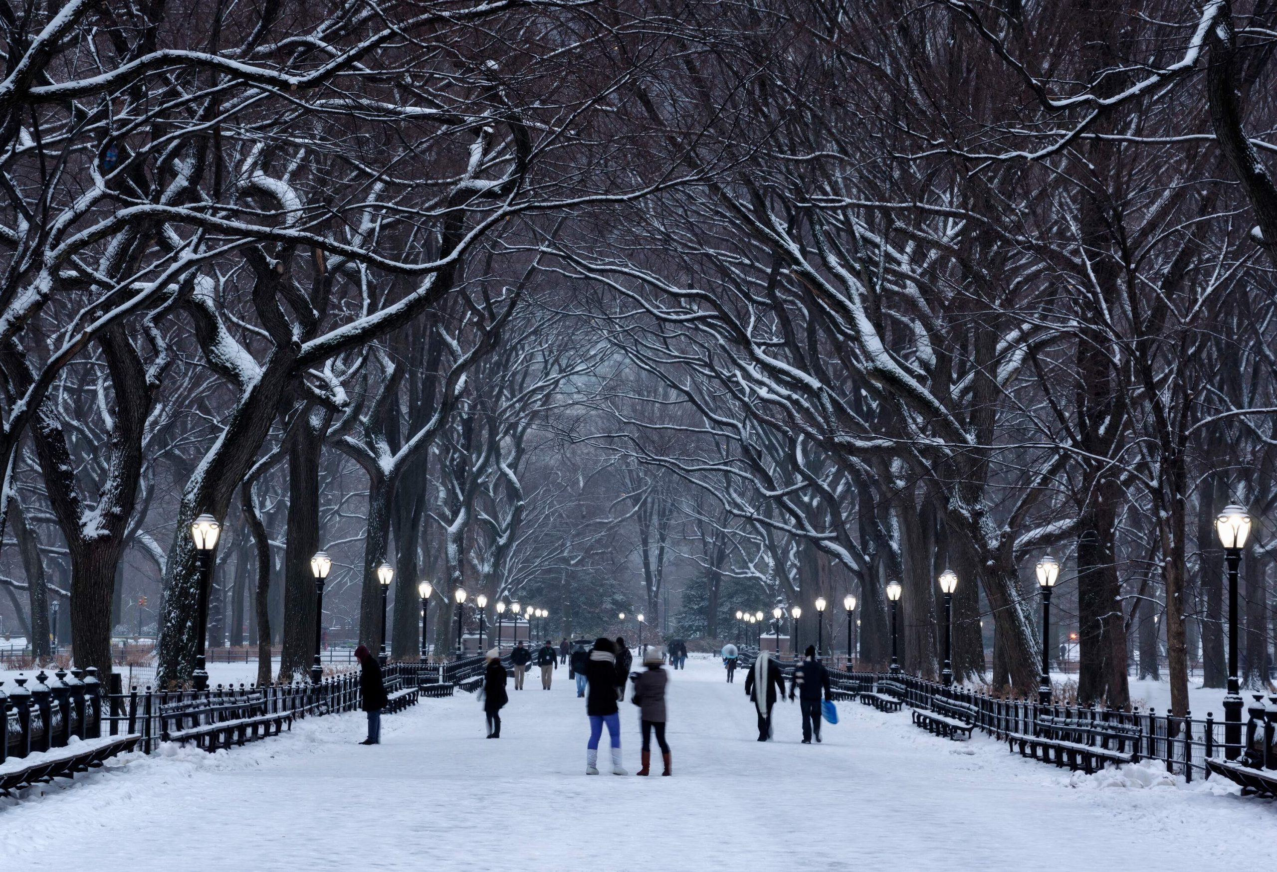 People in winter clothes stroll on the ice-filled pedestrian esplanade lined with rows of elm trees and lighted lampposts.