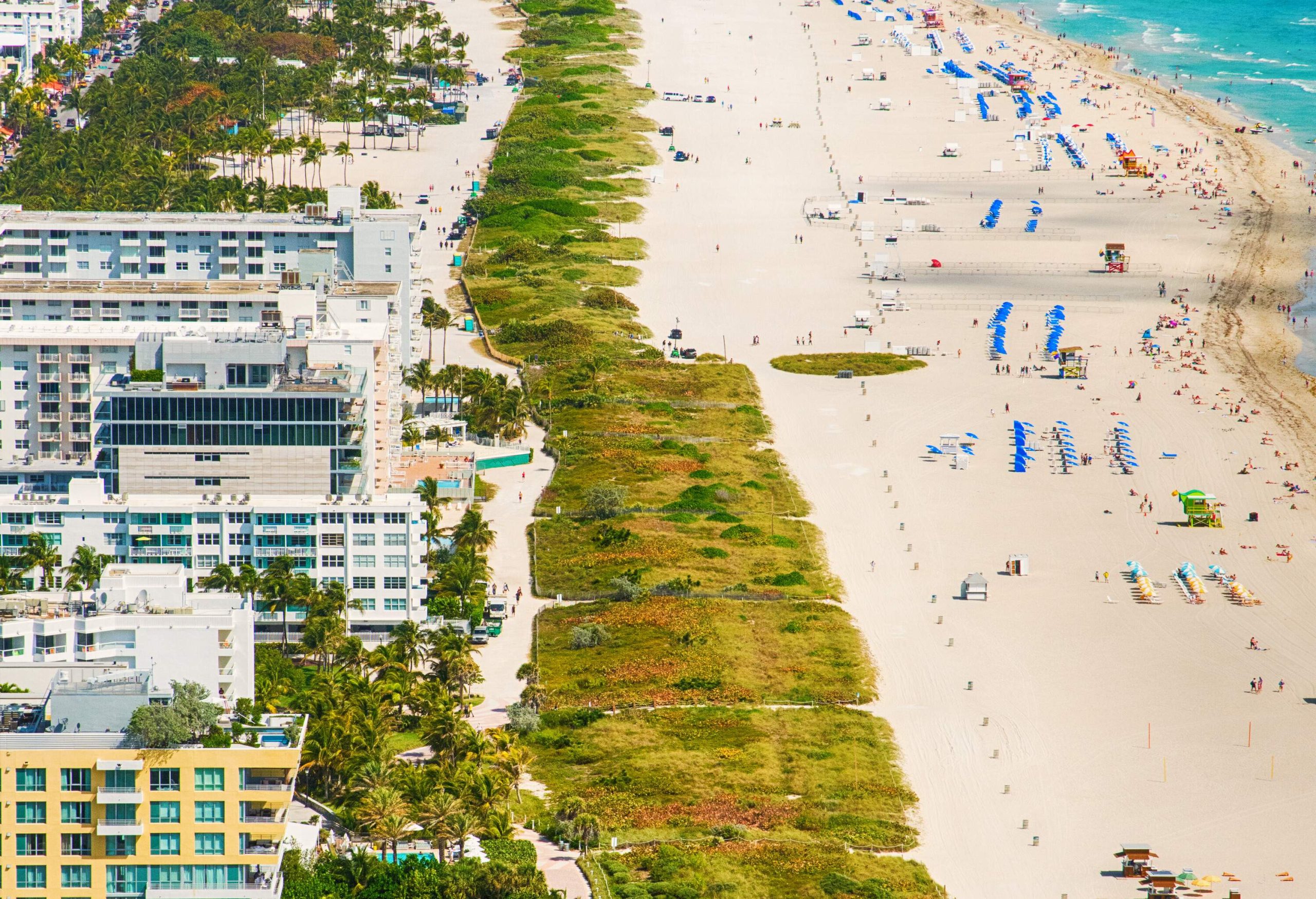 A vibrant beach showcases a stretch of sand lined with colourful parasols, backed by an impressive skyline of towering buildings.