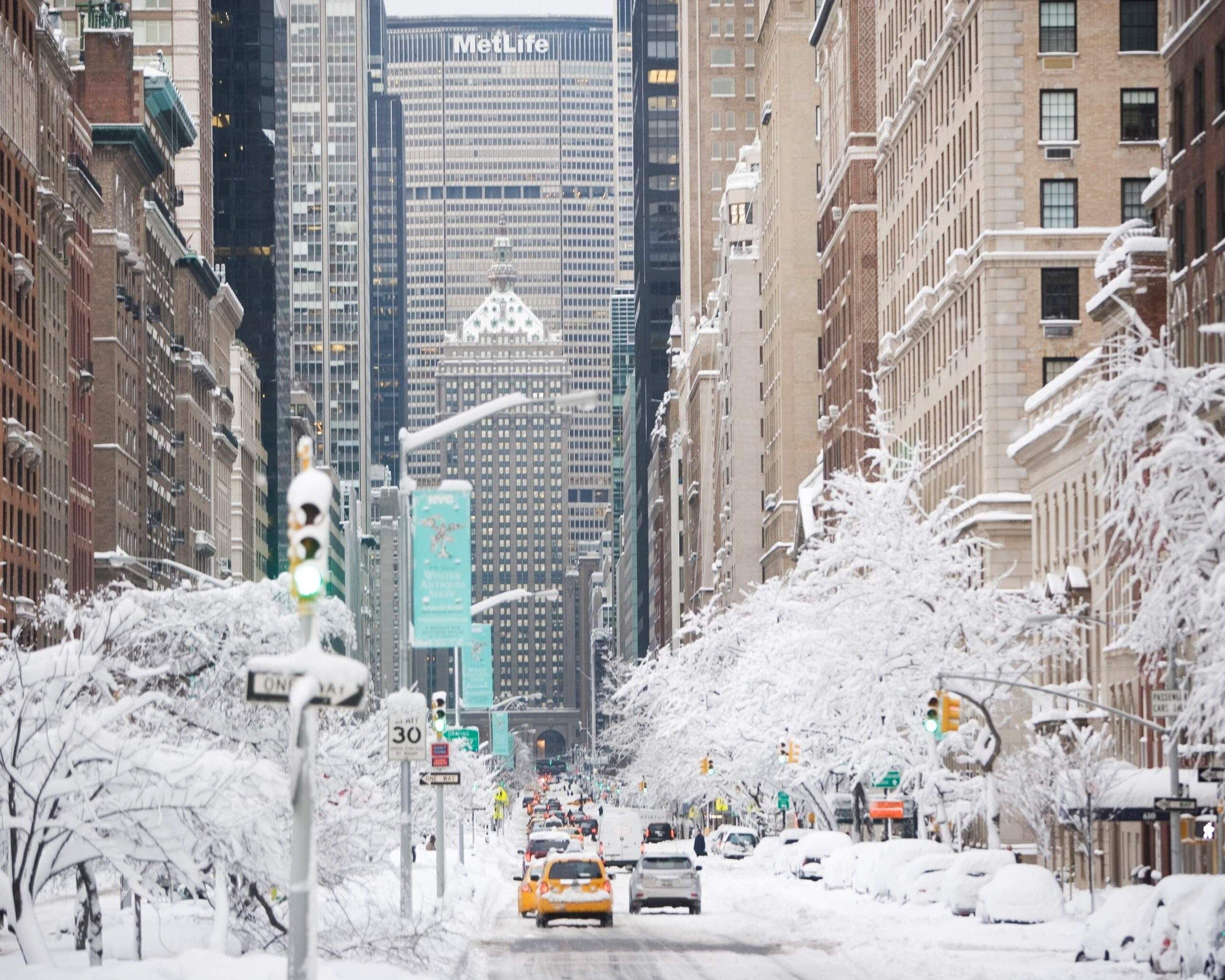 The best things to do in New York this winter - KAYAK