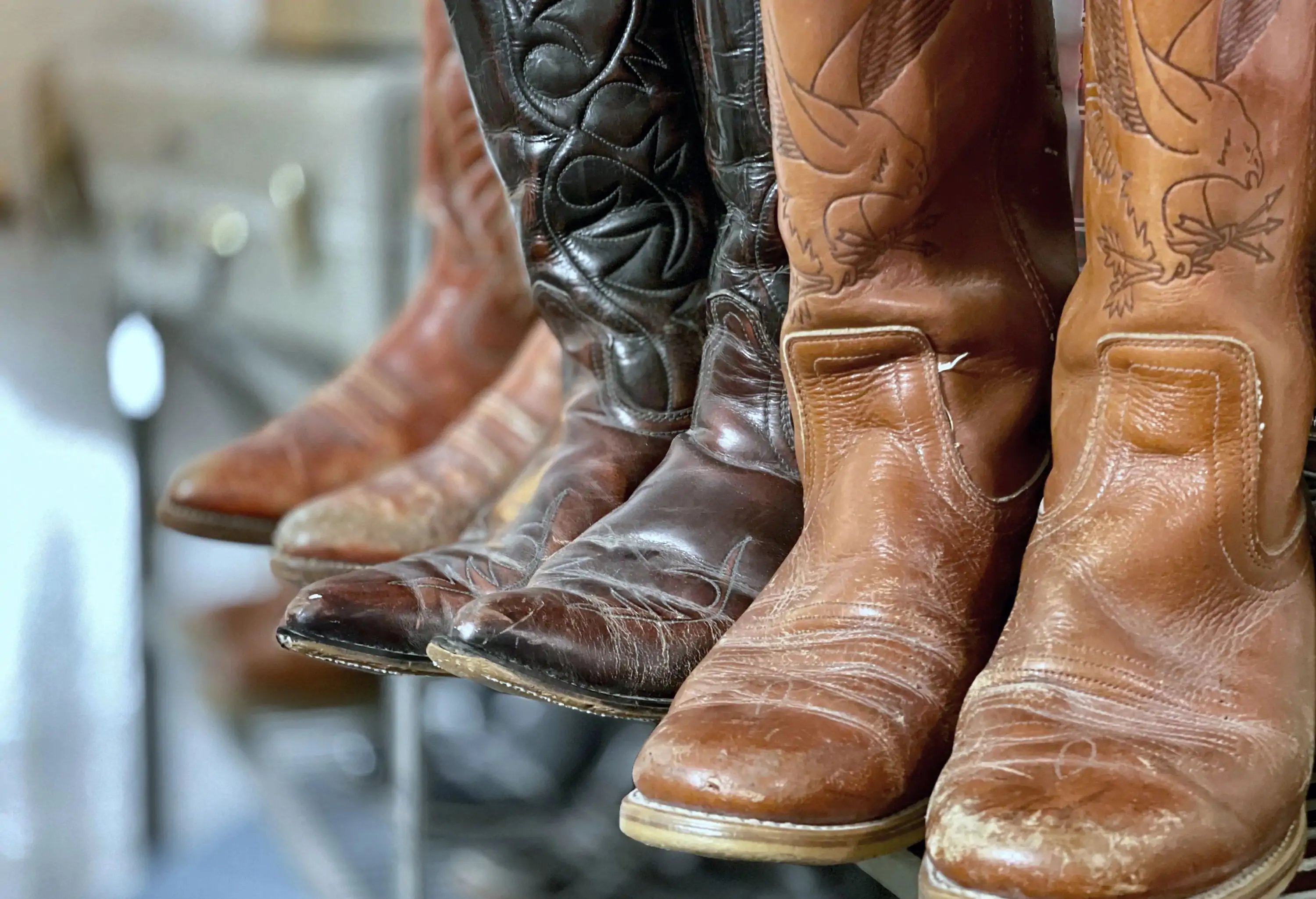 Three pairs of used cowboy boots lined on the shelves.
