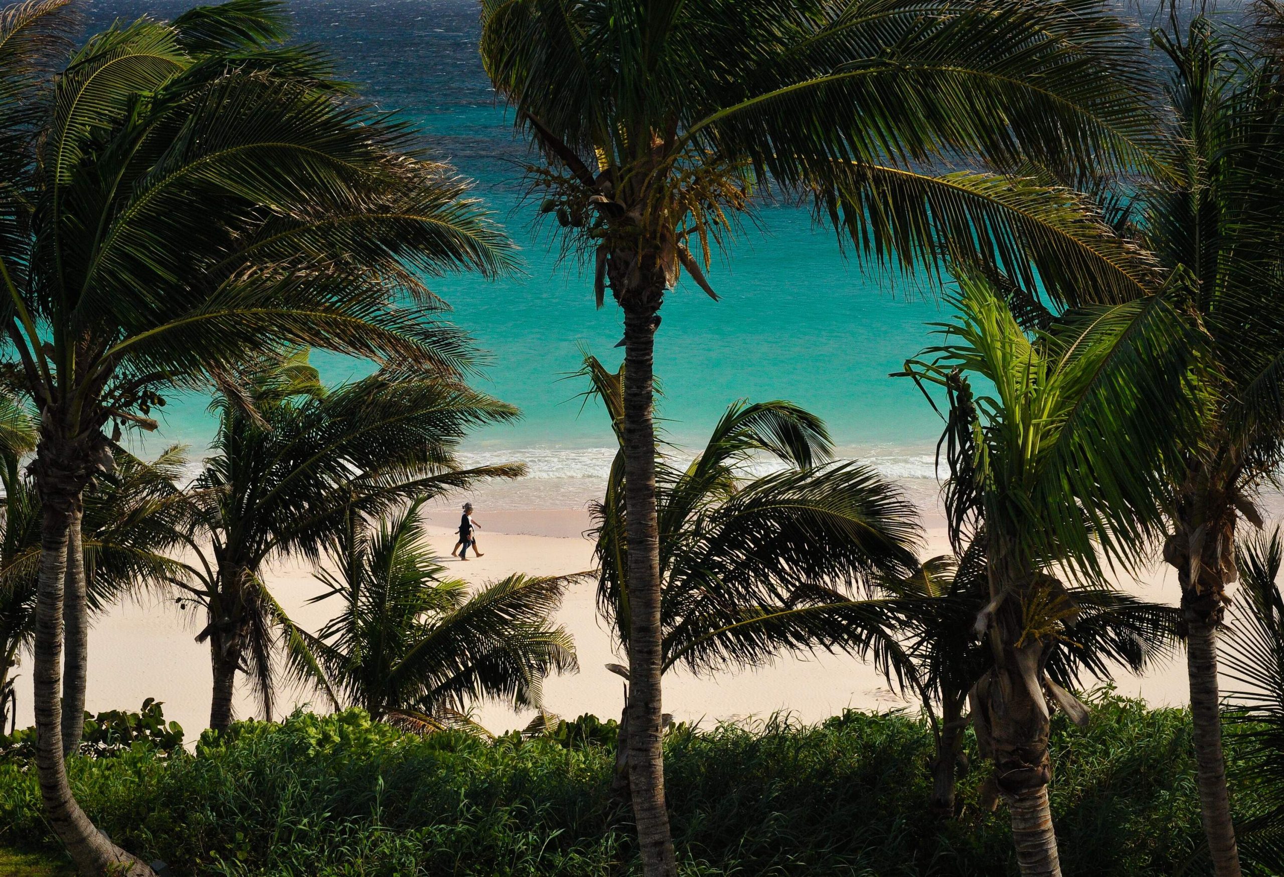 Two women framed by palm trees as they walk along Pink Sands Beach, Harbour Island, Bahamas